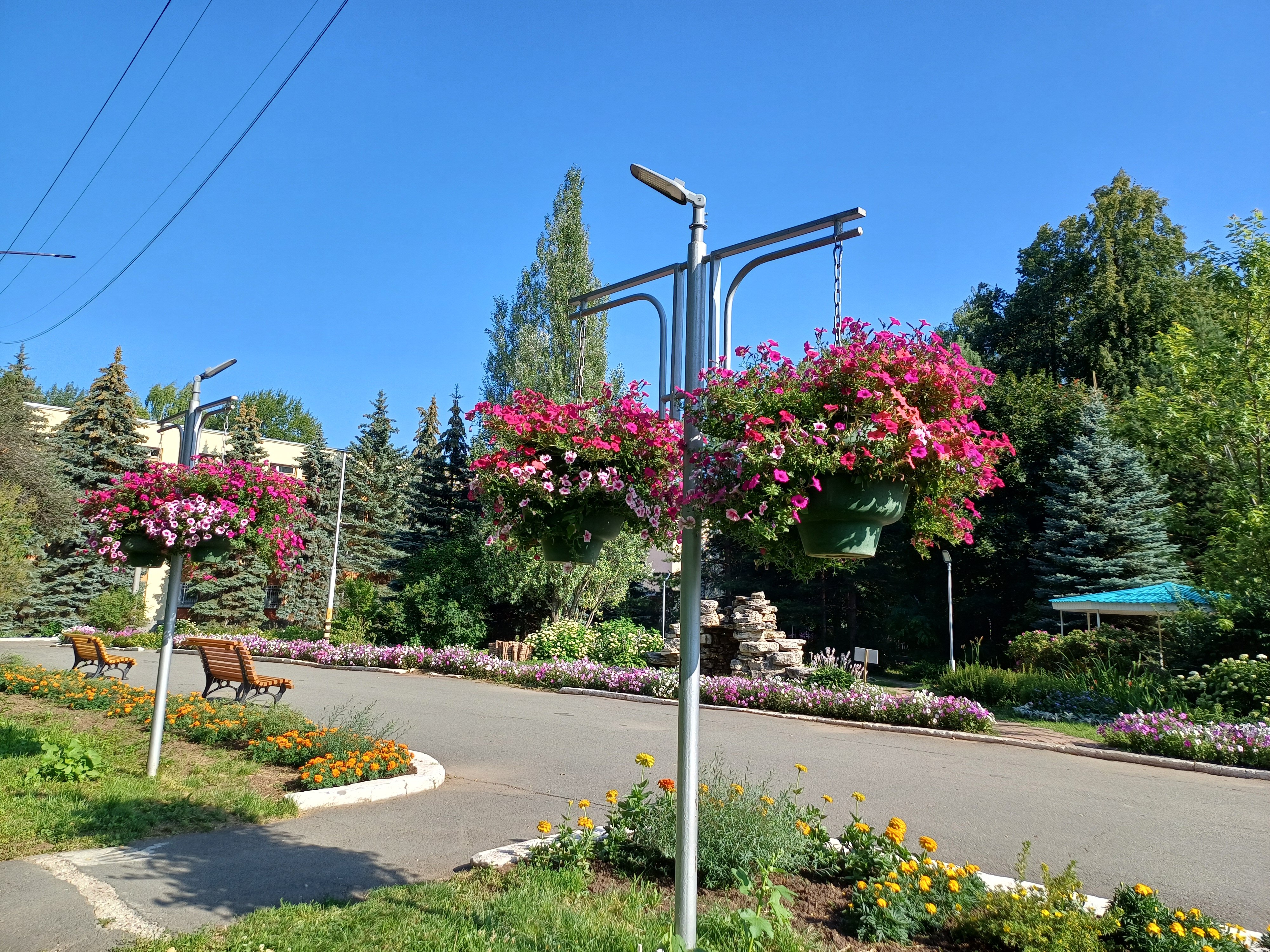 Фото Металлург