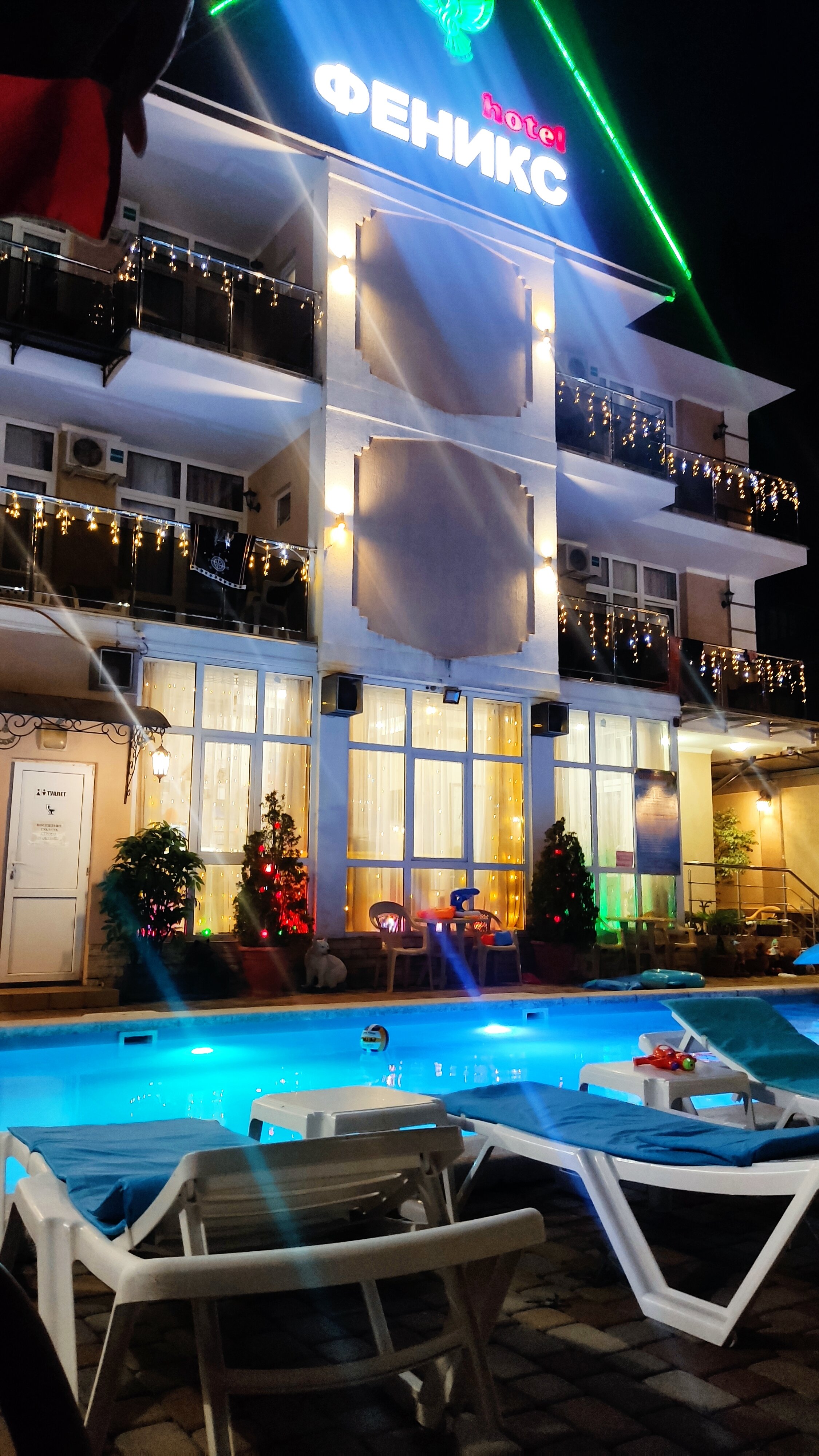 Фото Феникс