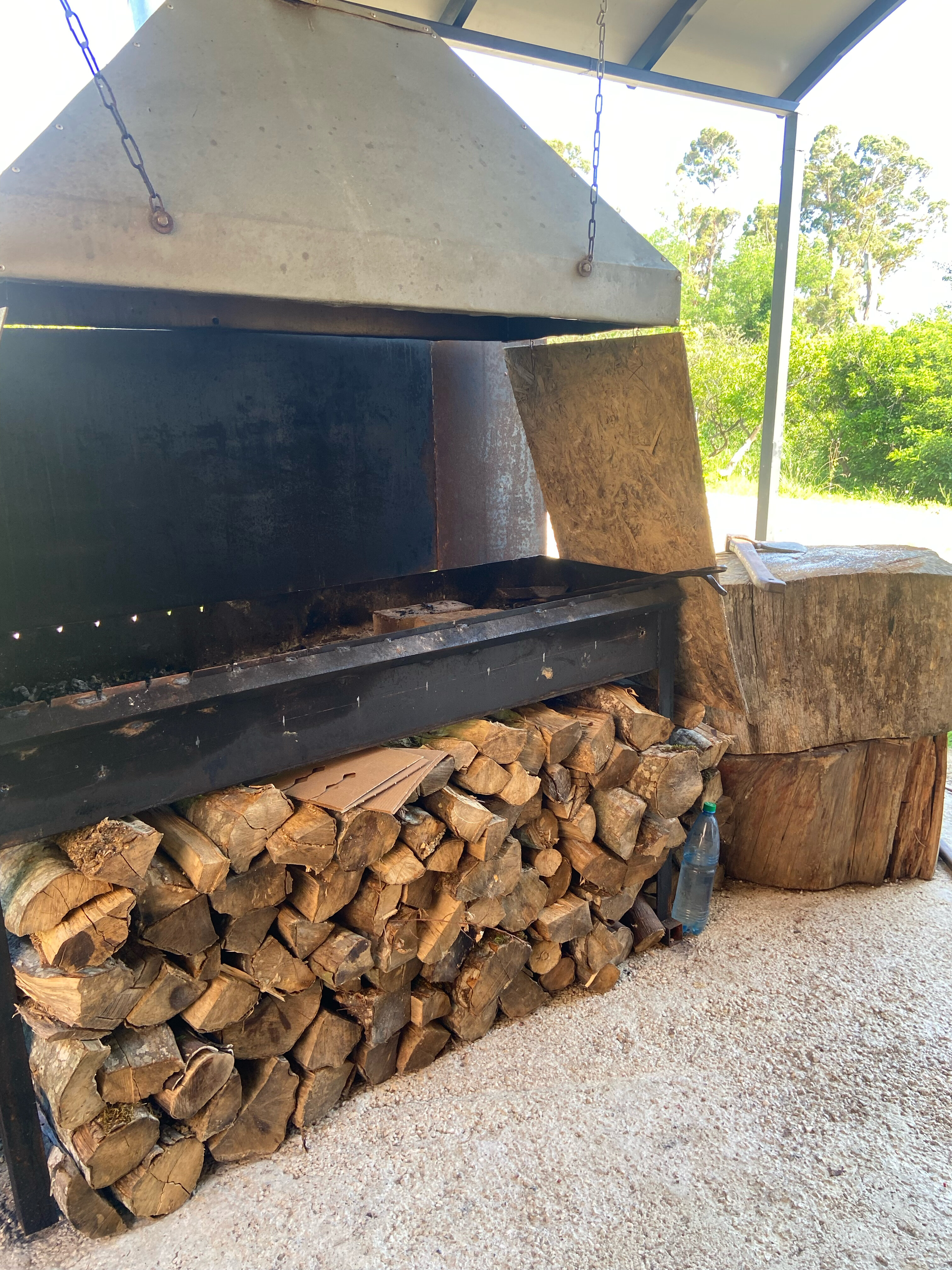 Фото Феникс