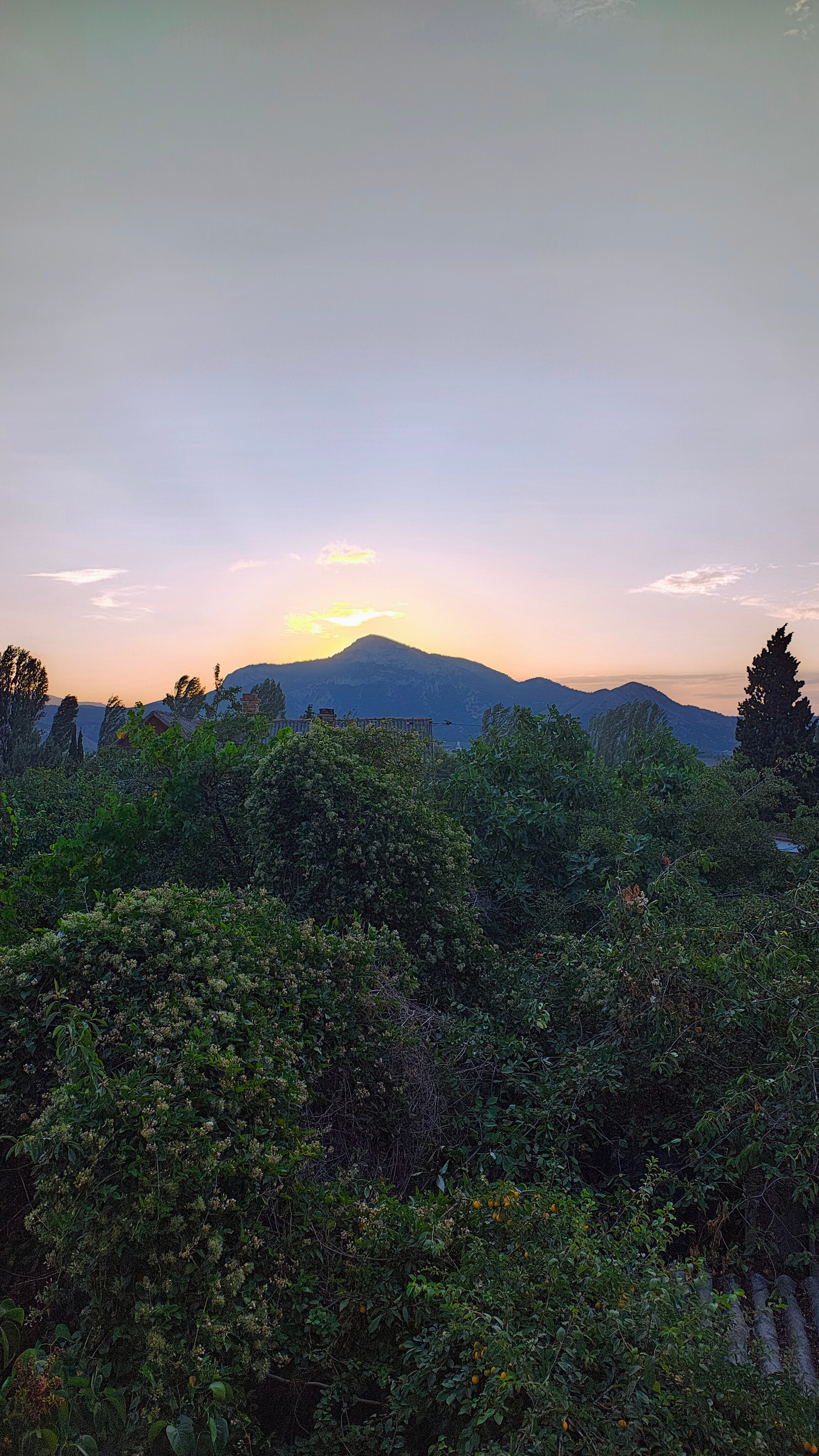 Фото Виктория