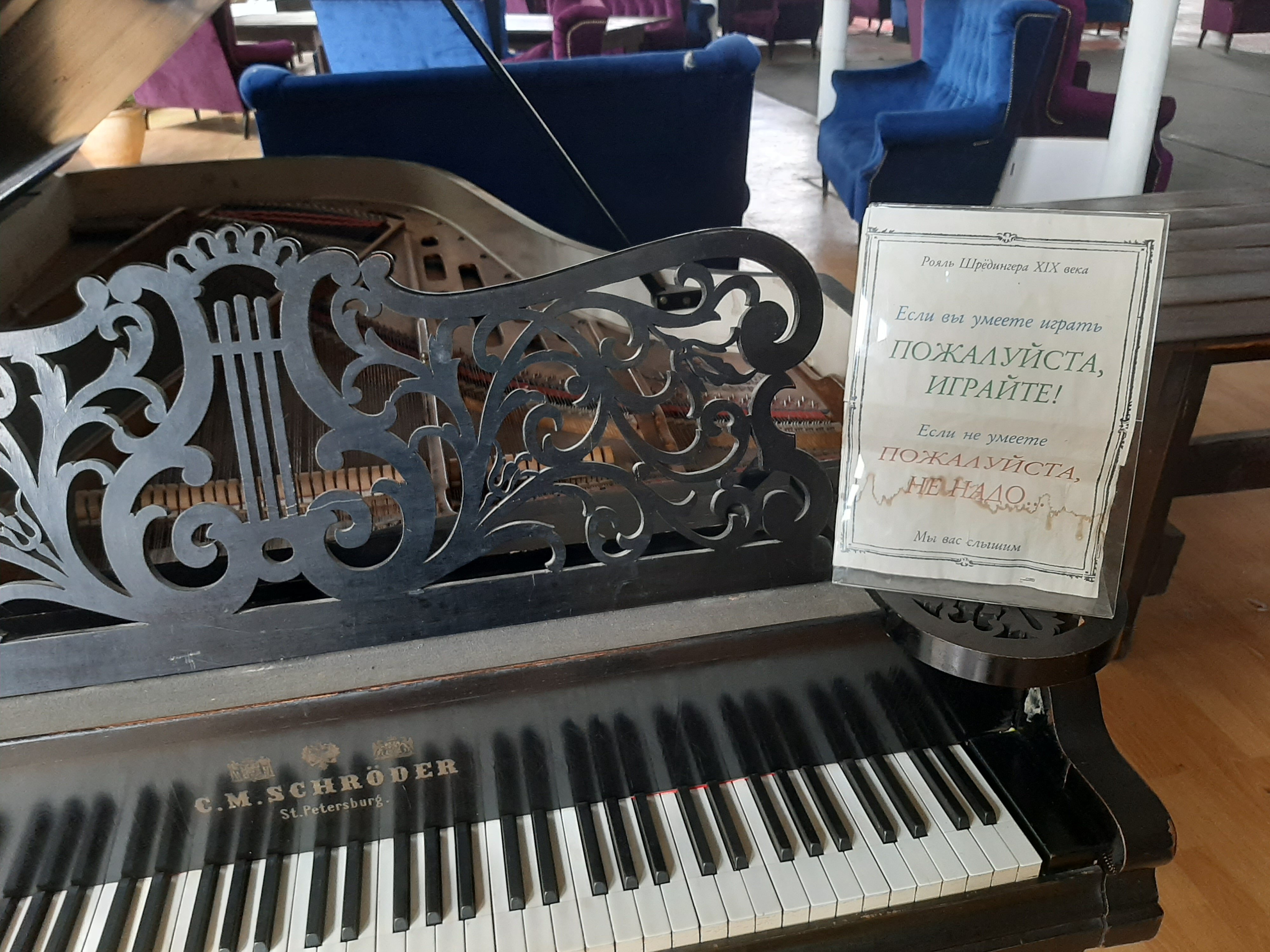 Фото Гуслица