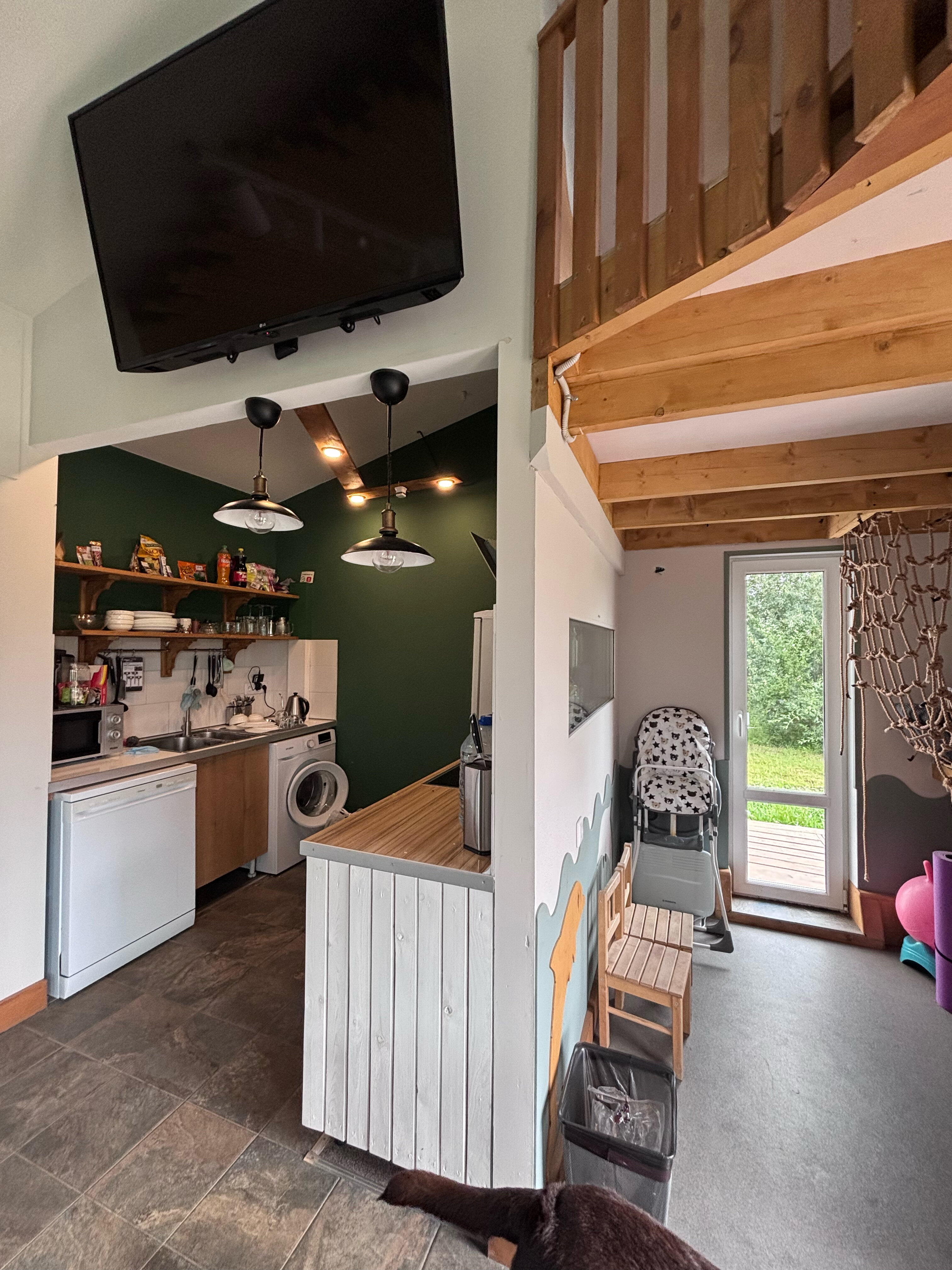 Фото Ракита