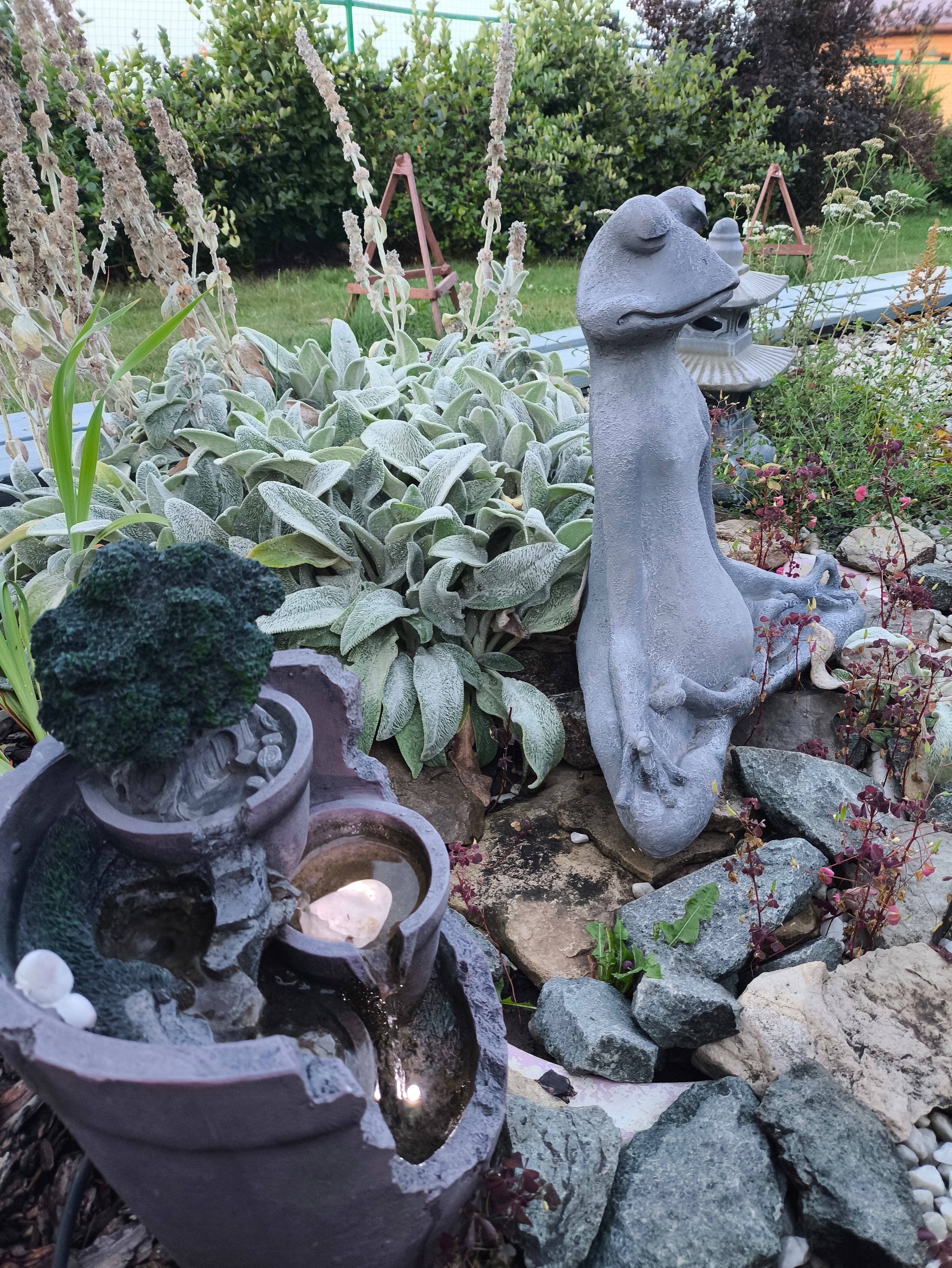 Фото Дивный Сад