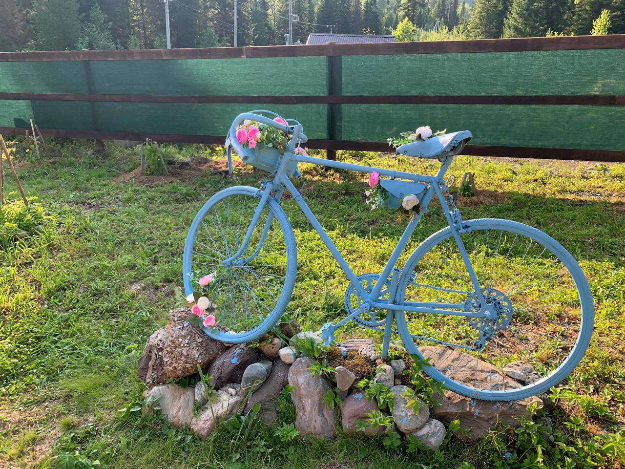 Фото У Петровича