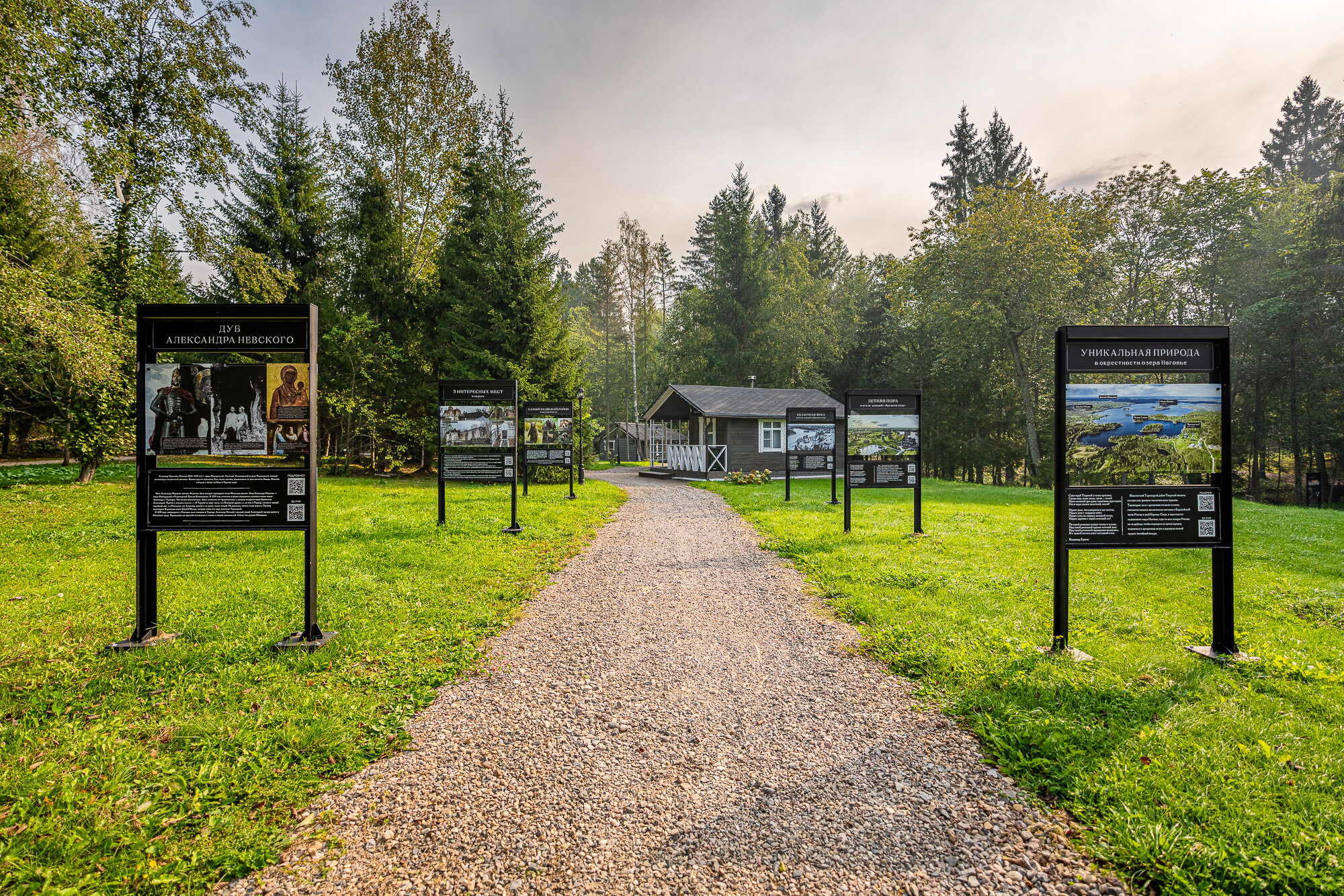 Фото  Времена года