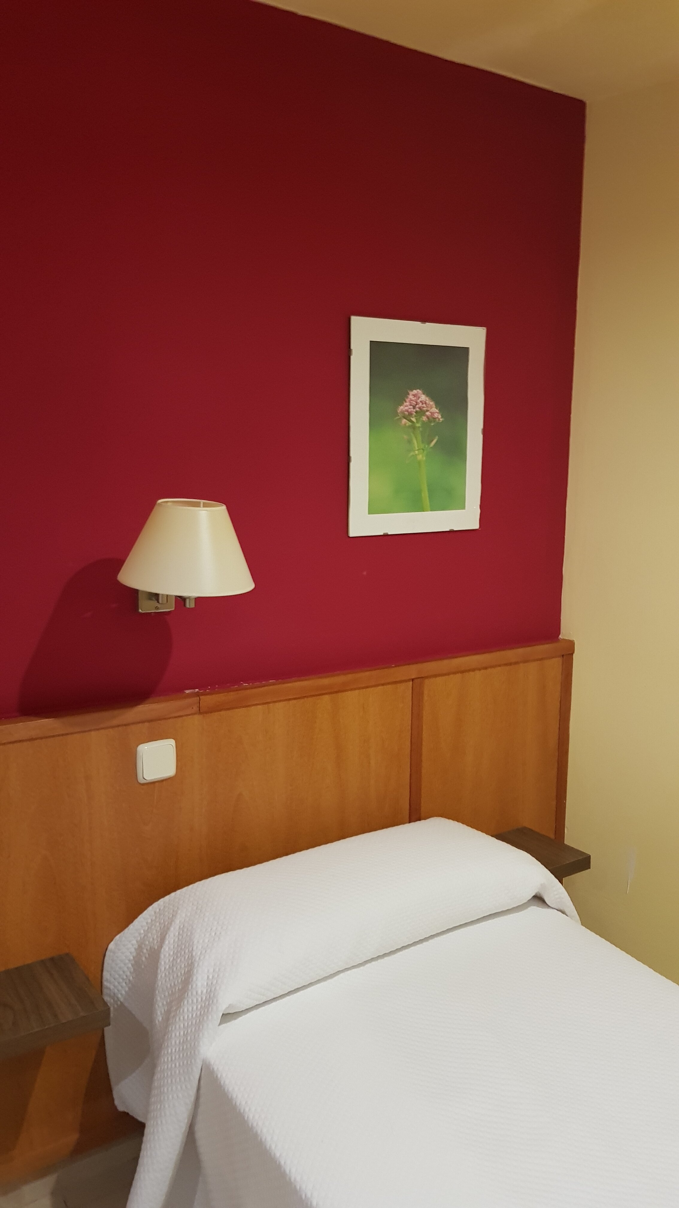 Фото Hotel Coronado