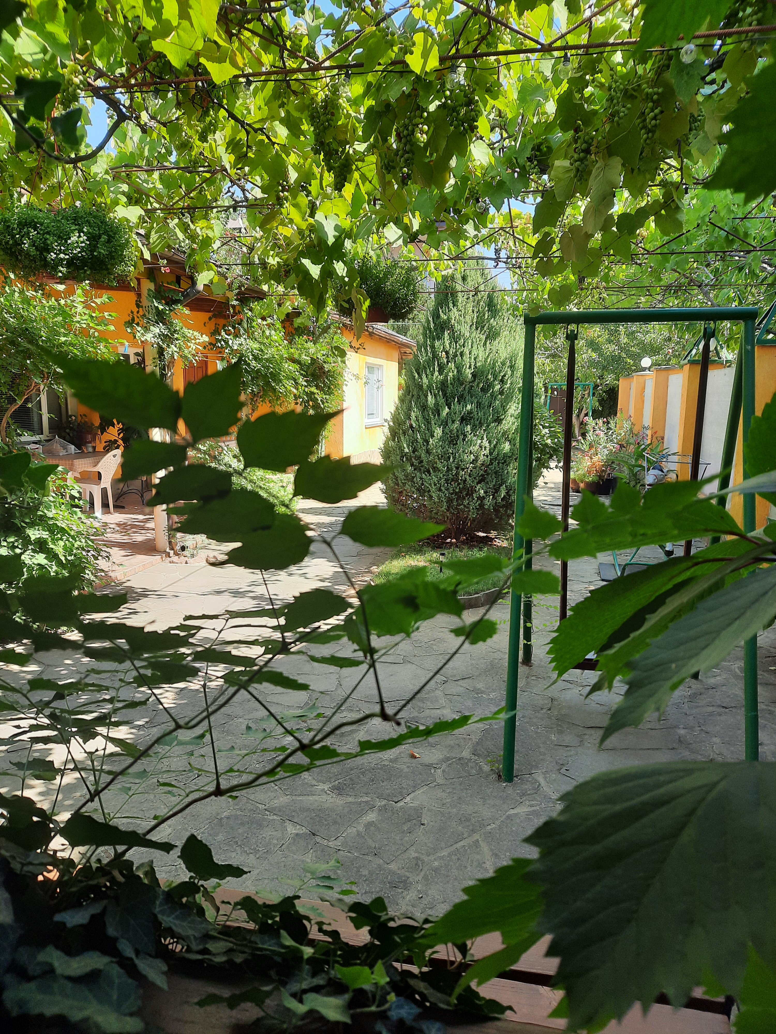 Фото В гостях у моря