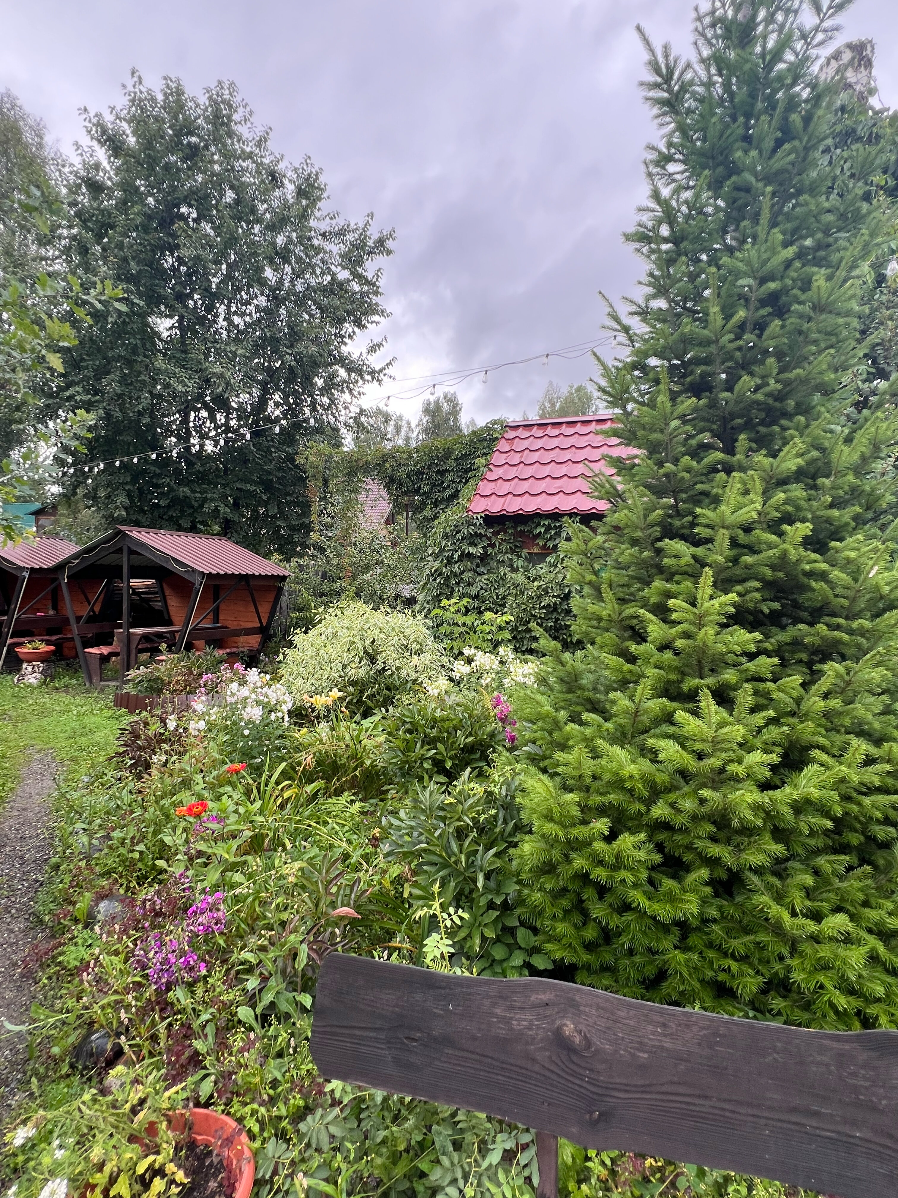 Фото Яшкин Дом