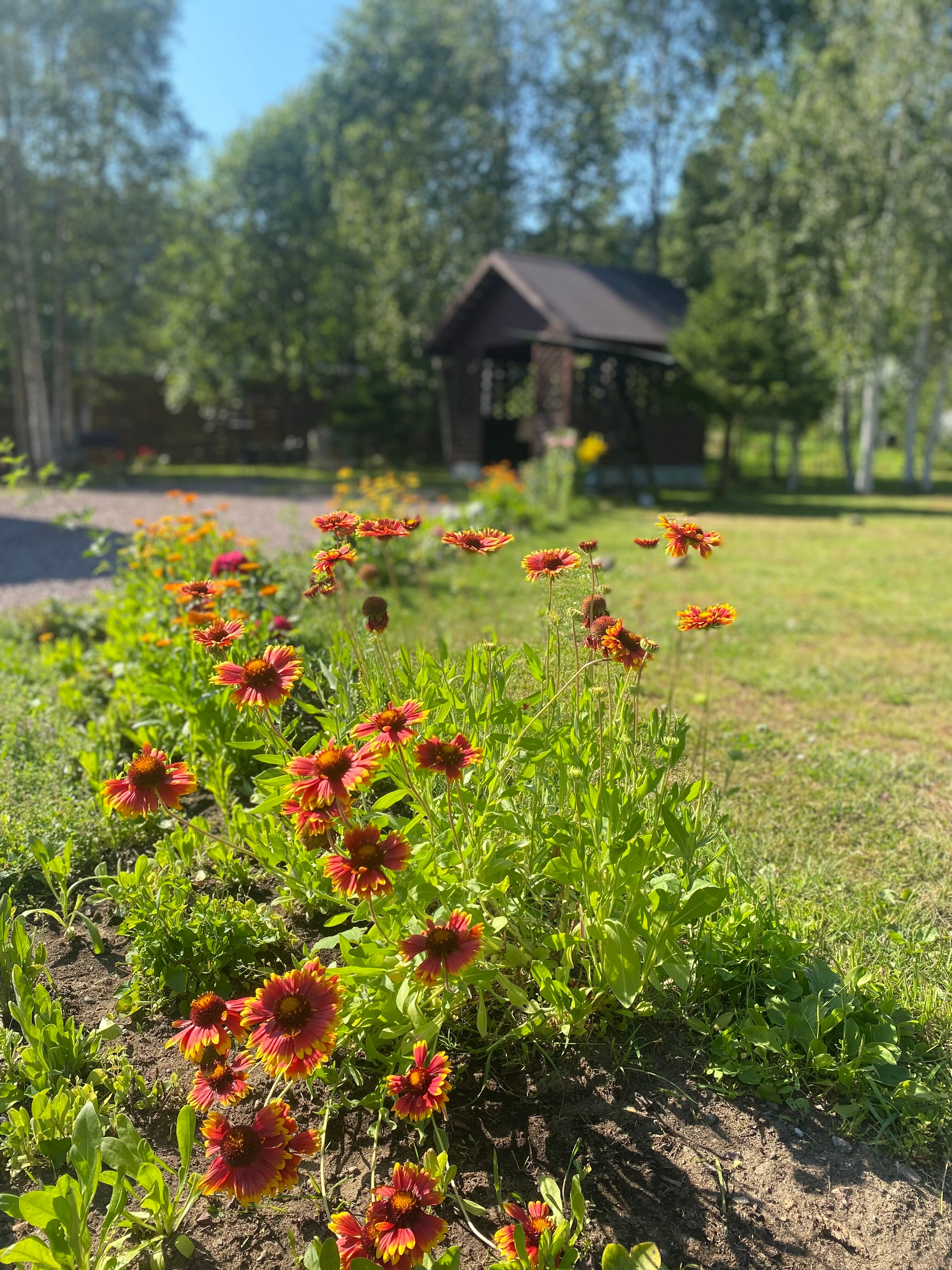 Фото Берлога люкс