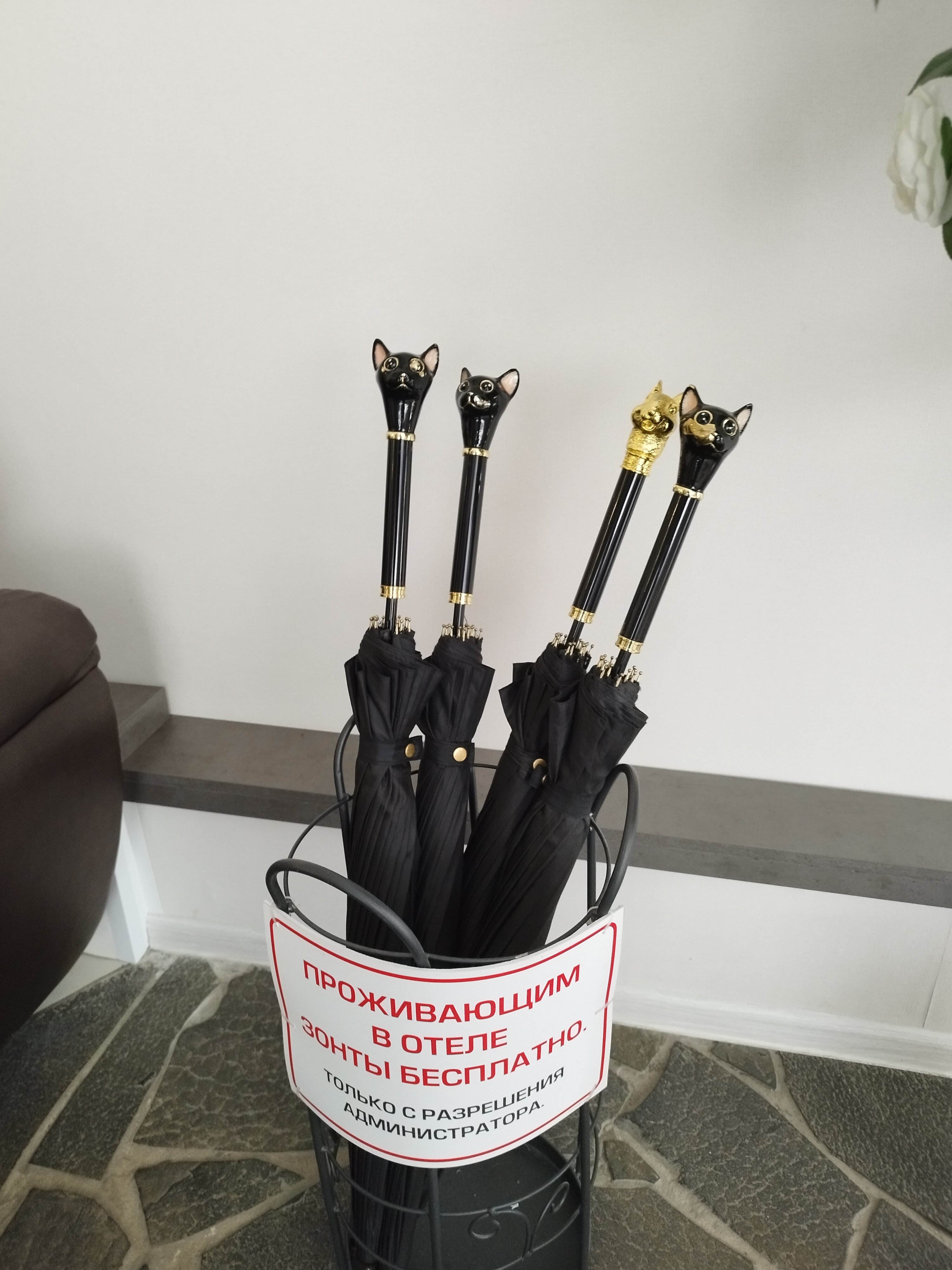 Фото Ладога