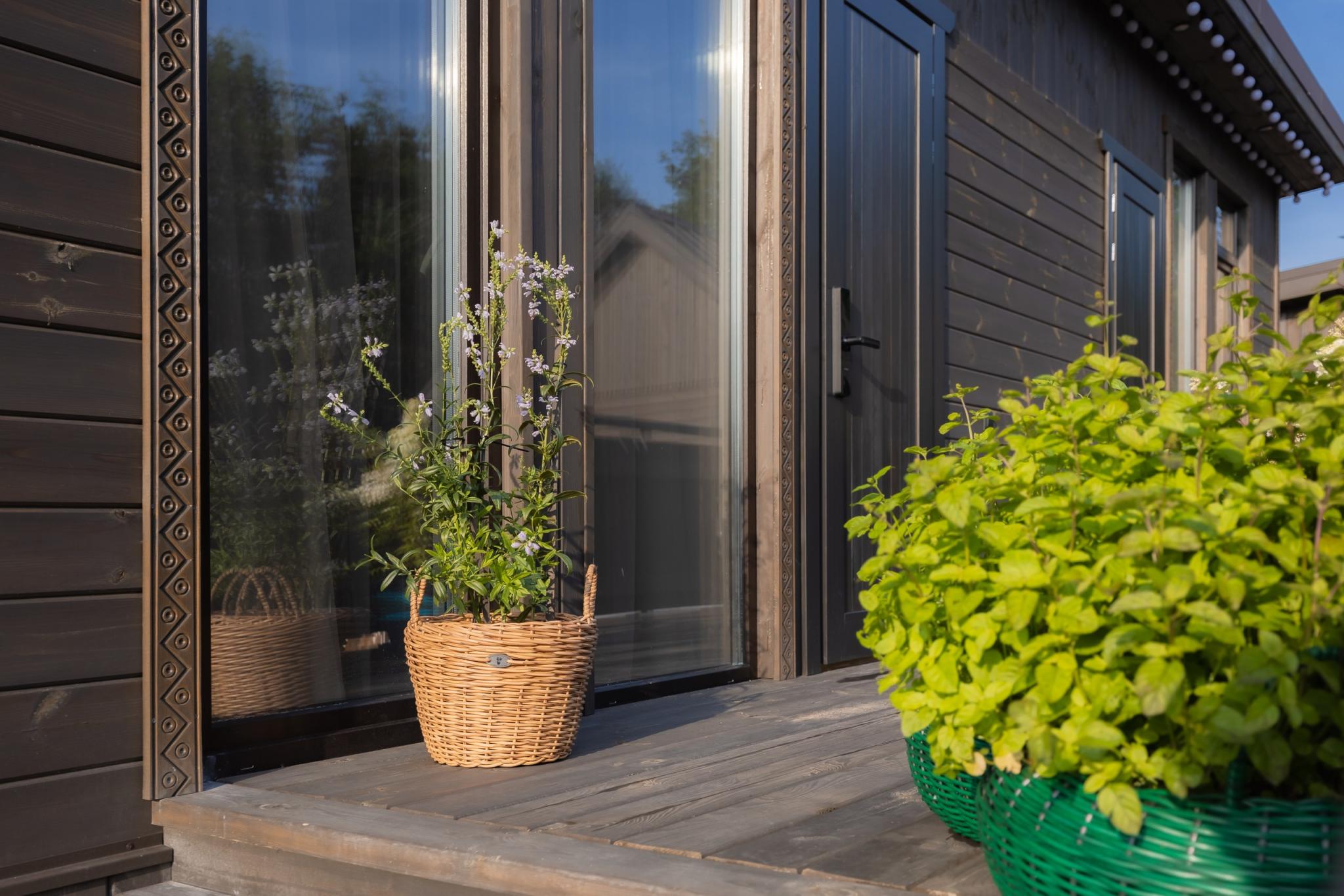 Фото Мятный сад