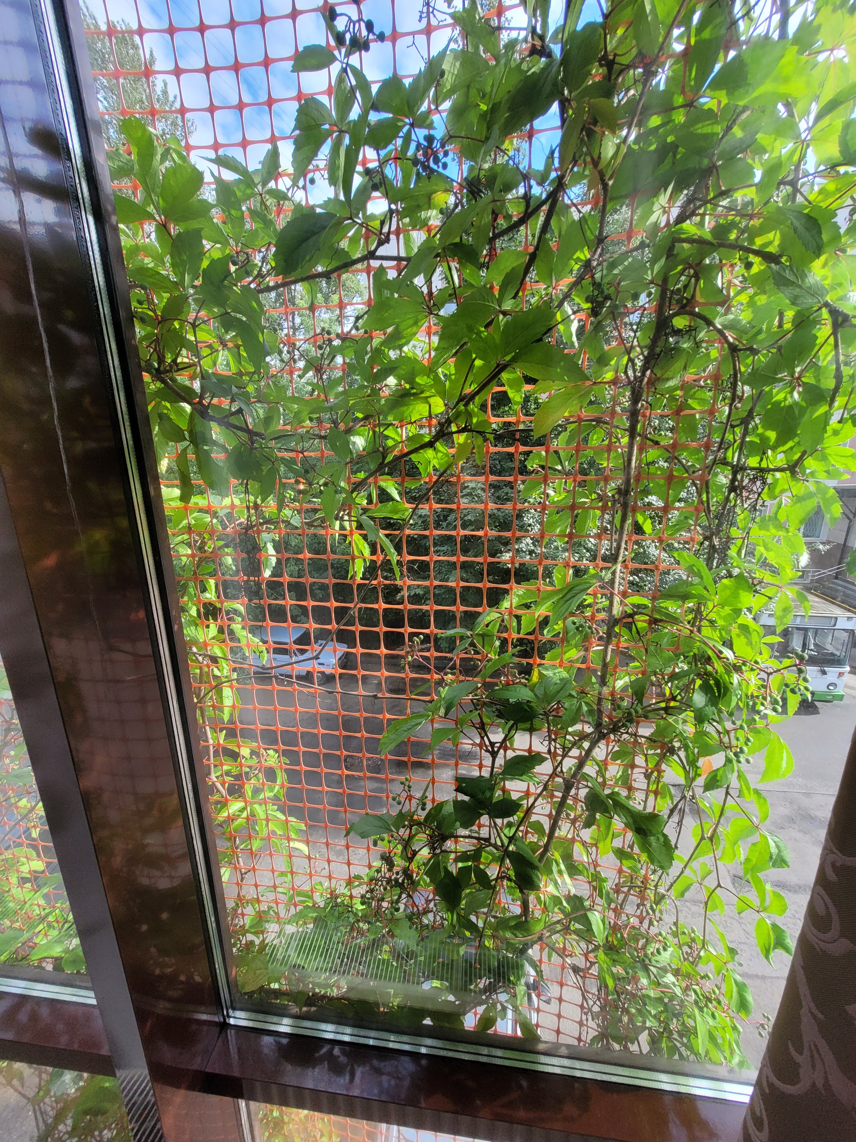 Фото Шёлковый путь