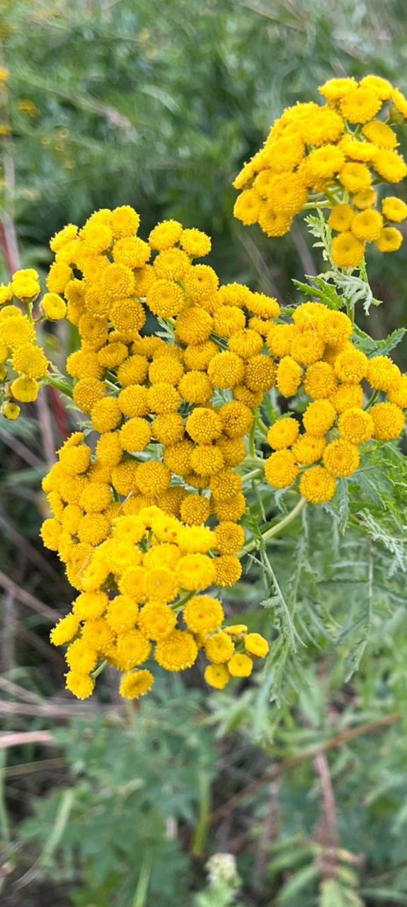 Фото 156473314536