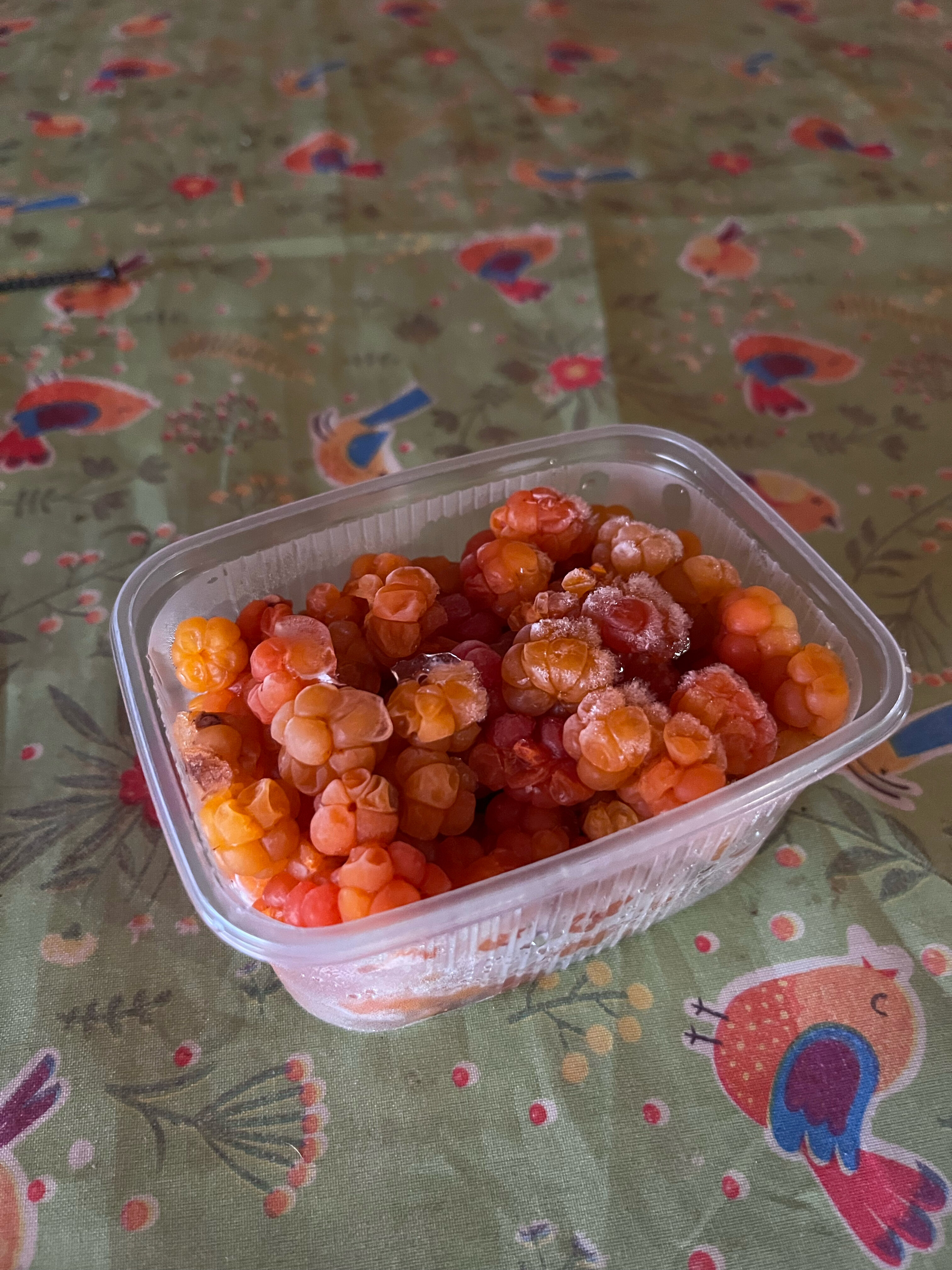 Фото Карху Сегозеро