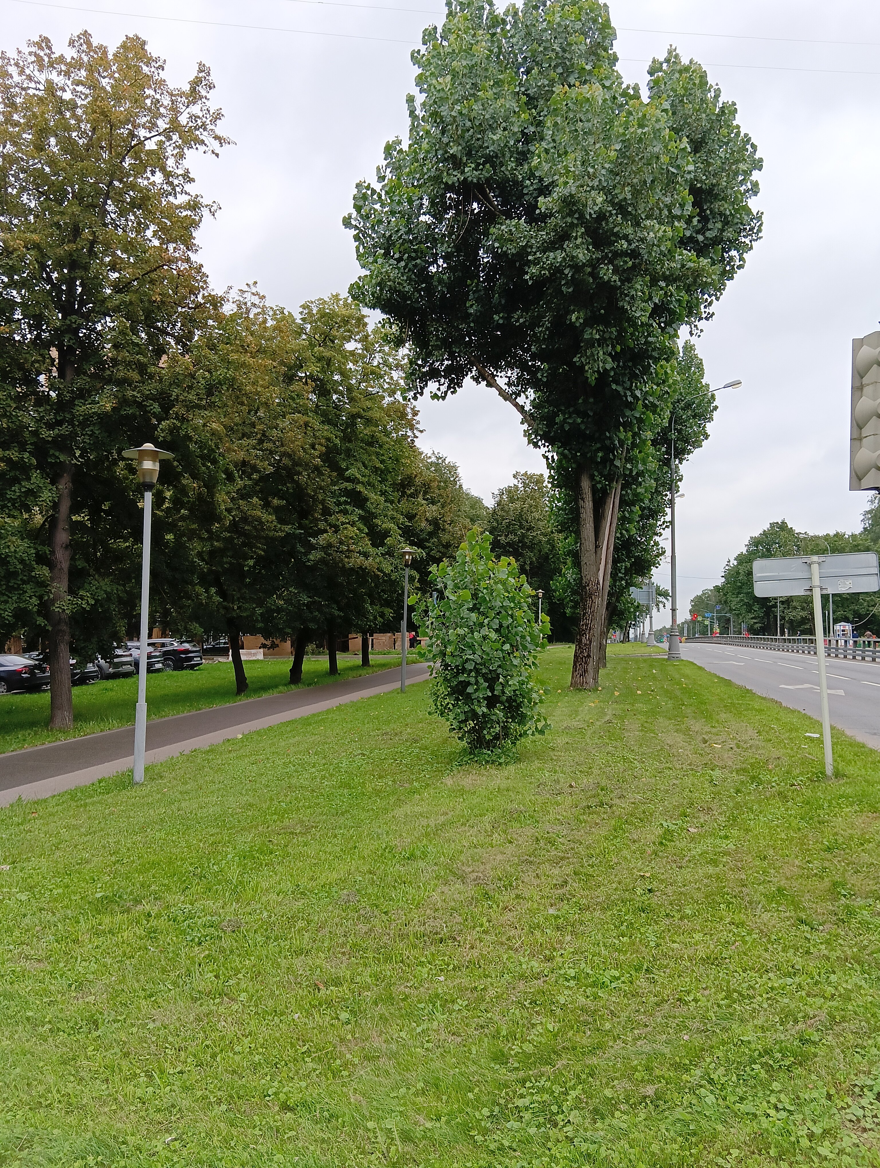 Фото Быстрее пешком, чем на такси