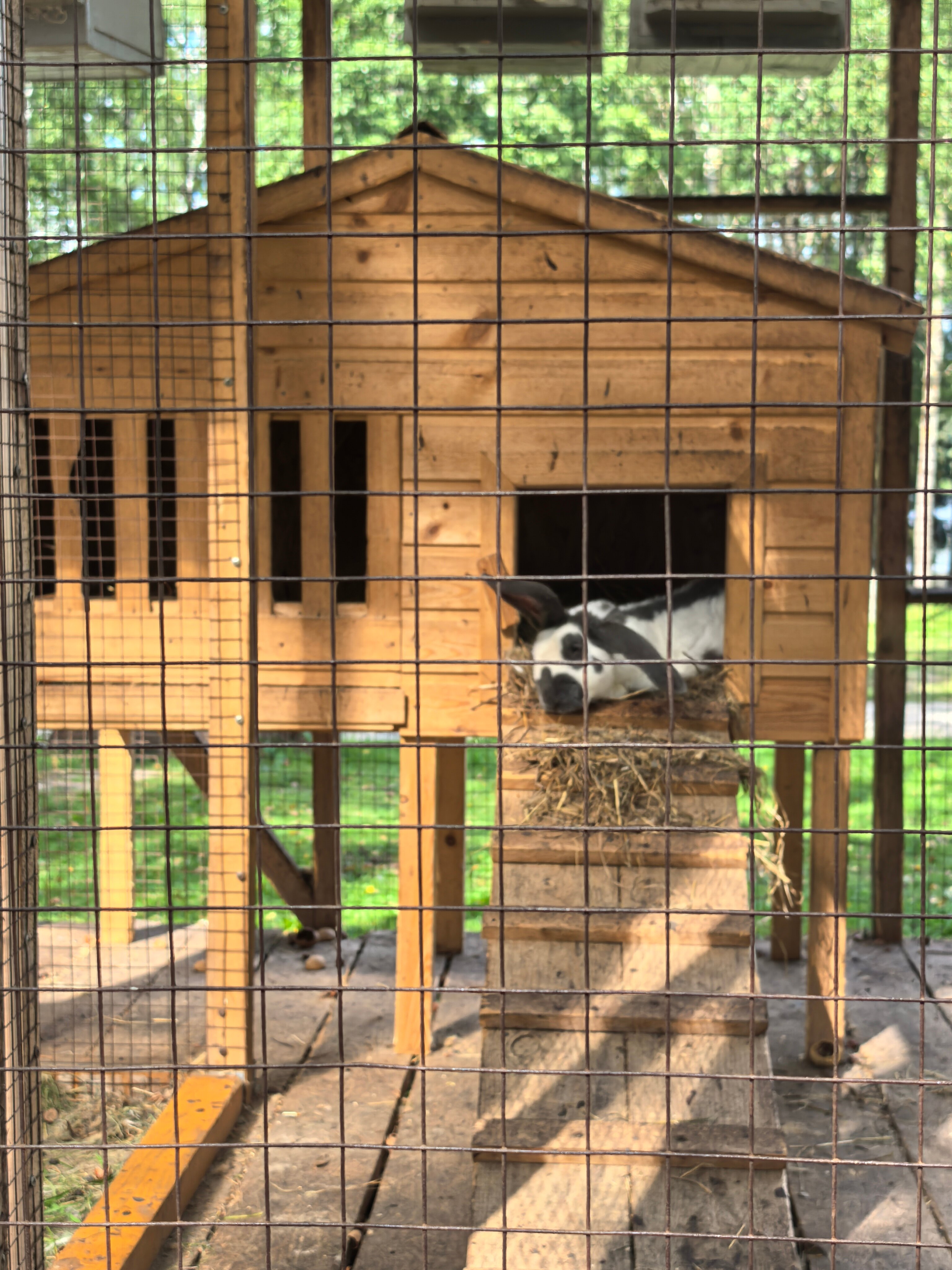 Фото Серебряный ключ