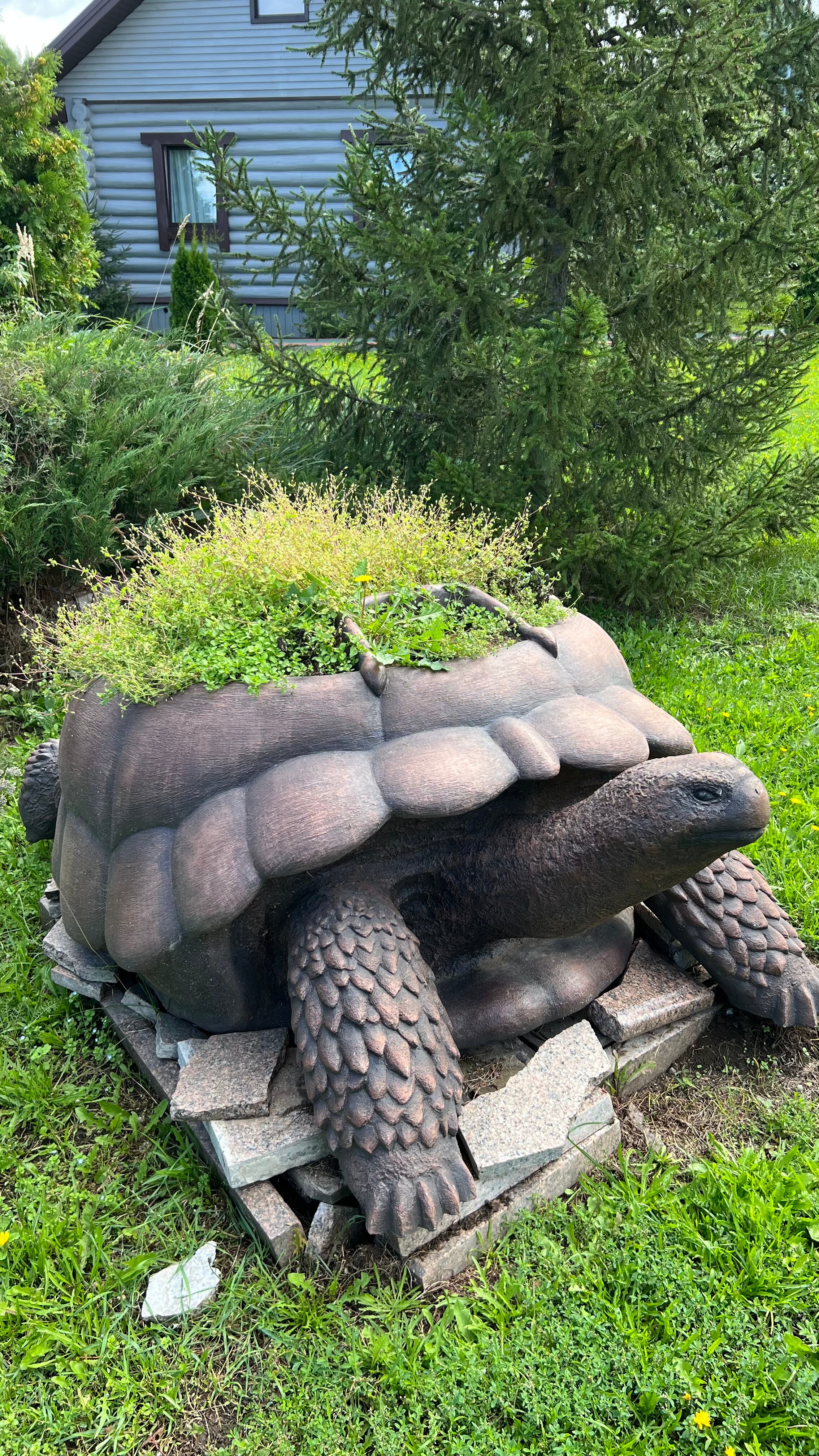 Фото Minger Med SPA