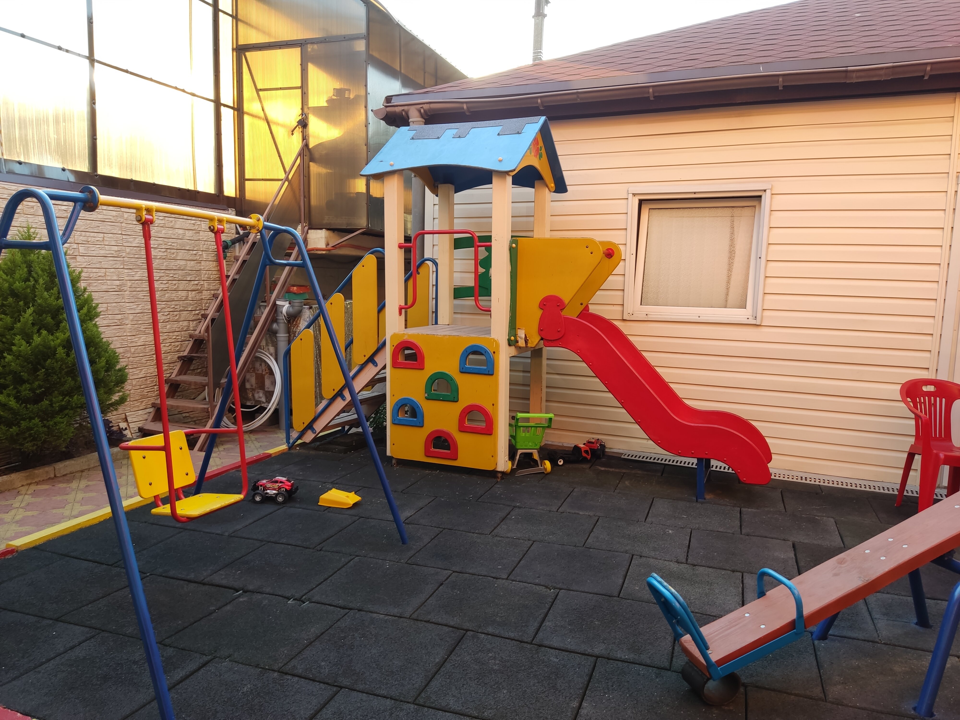 Фото Камелия