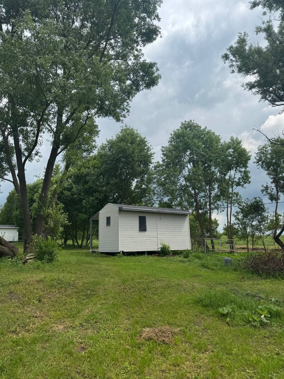 Фото Лисополоса