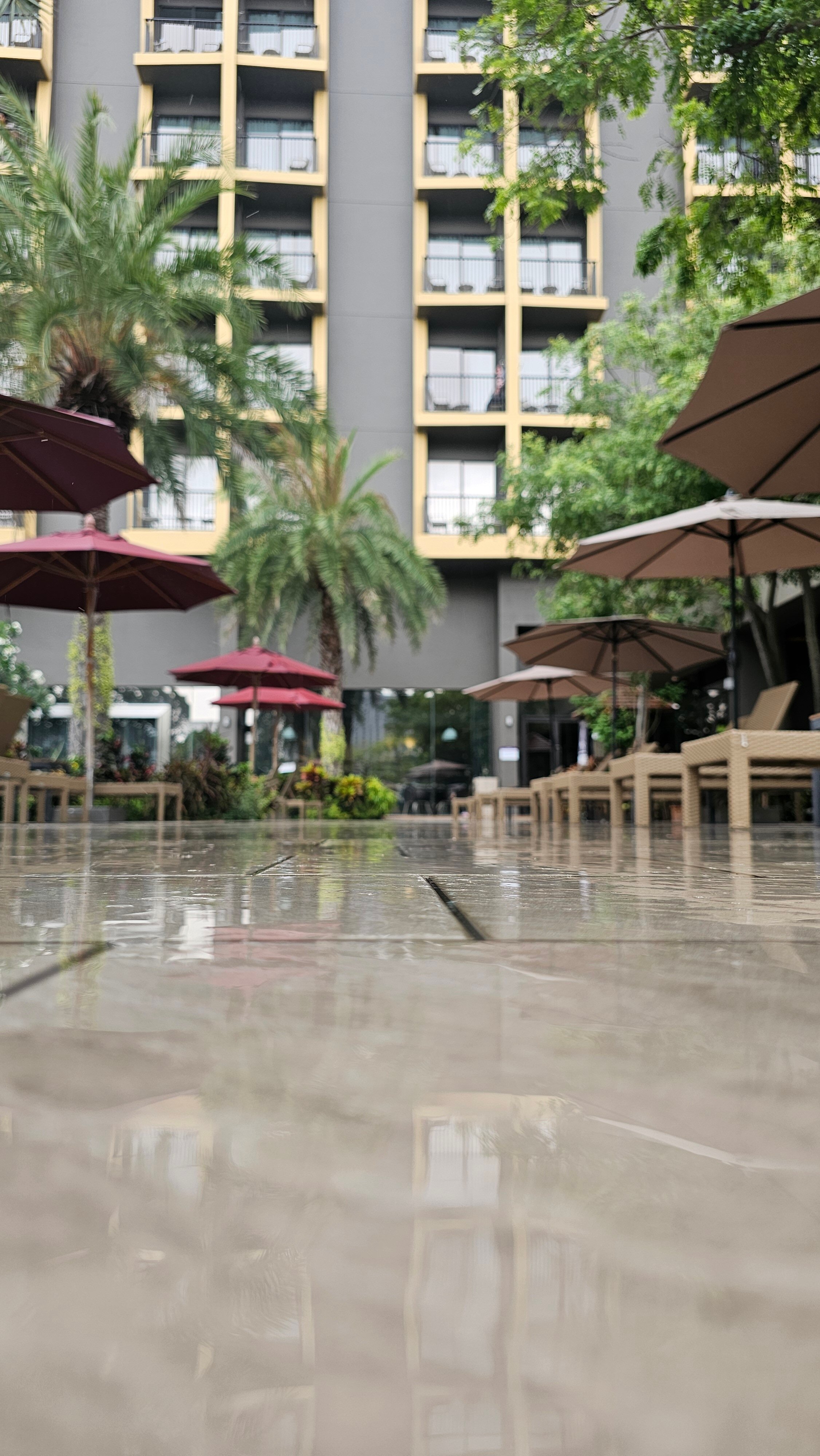 Фото Mercure Pattaya Ocean Resort