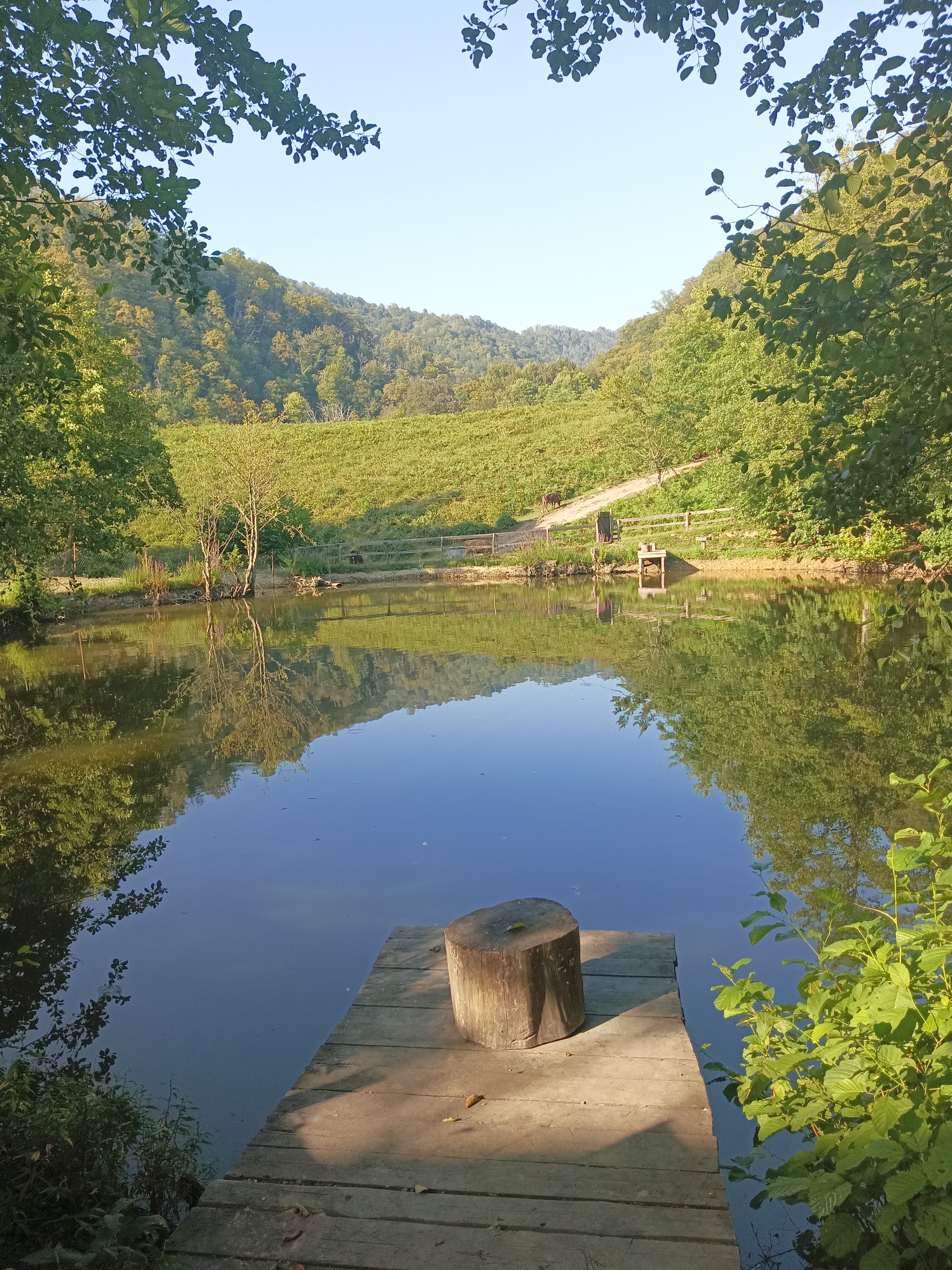 Фото Озеро Ольховое