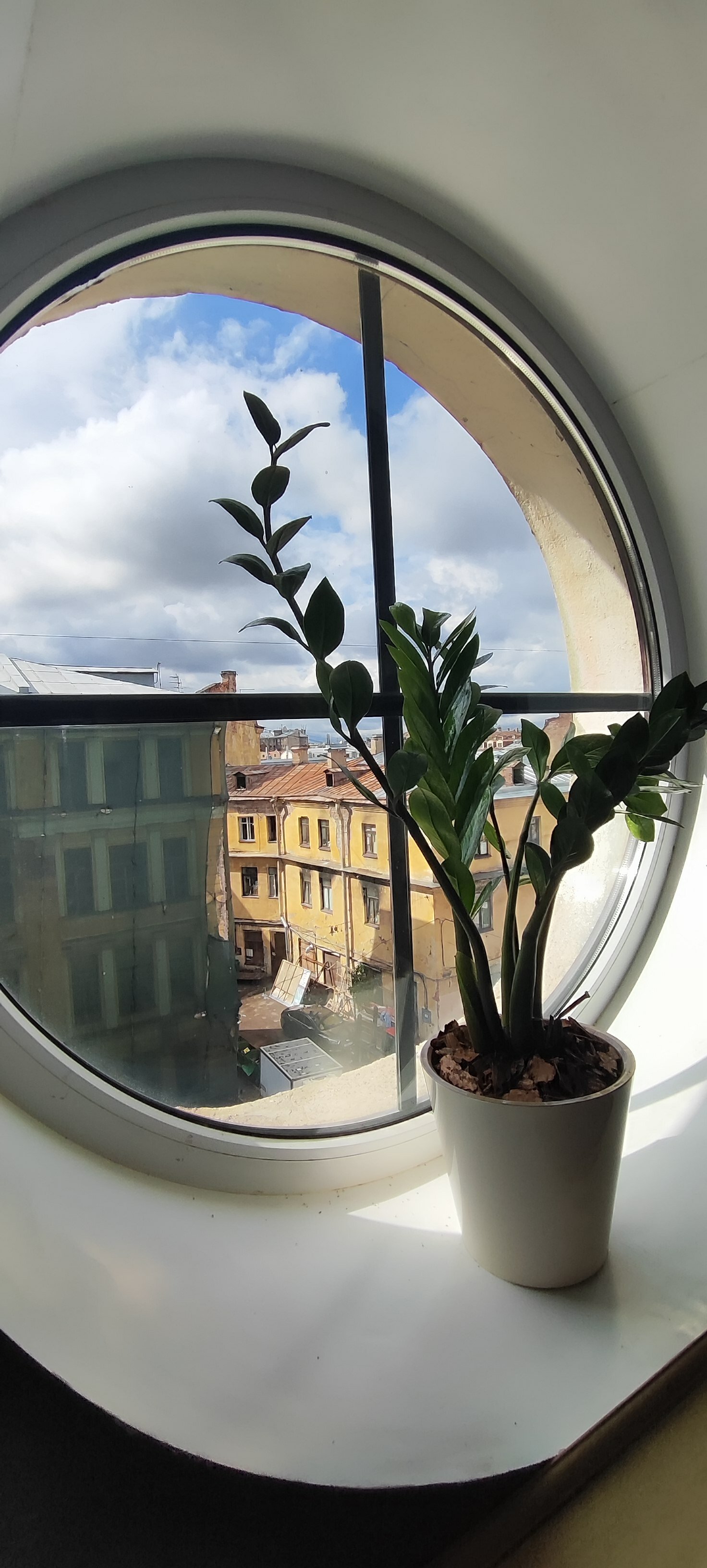 Фото Друзья Лофт