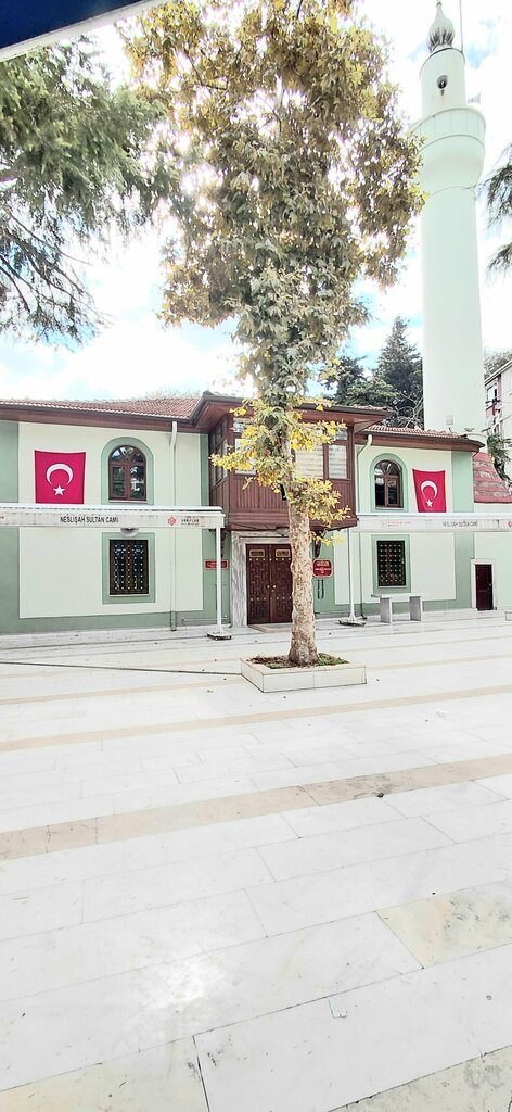 Mosque Istinye Neslisah Sultan Mosque, Istanbul, photo