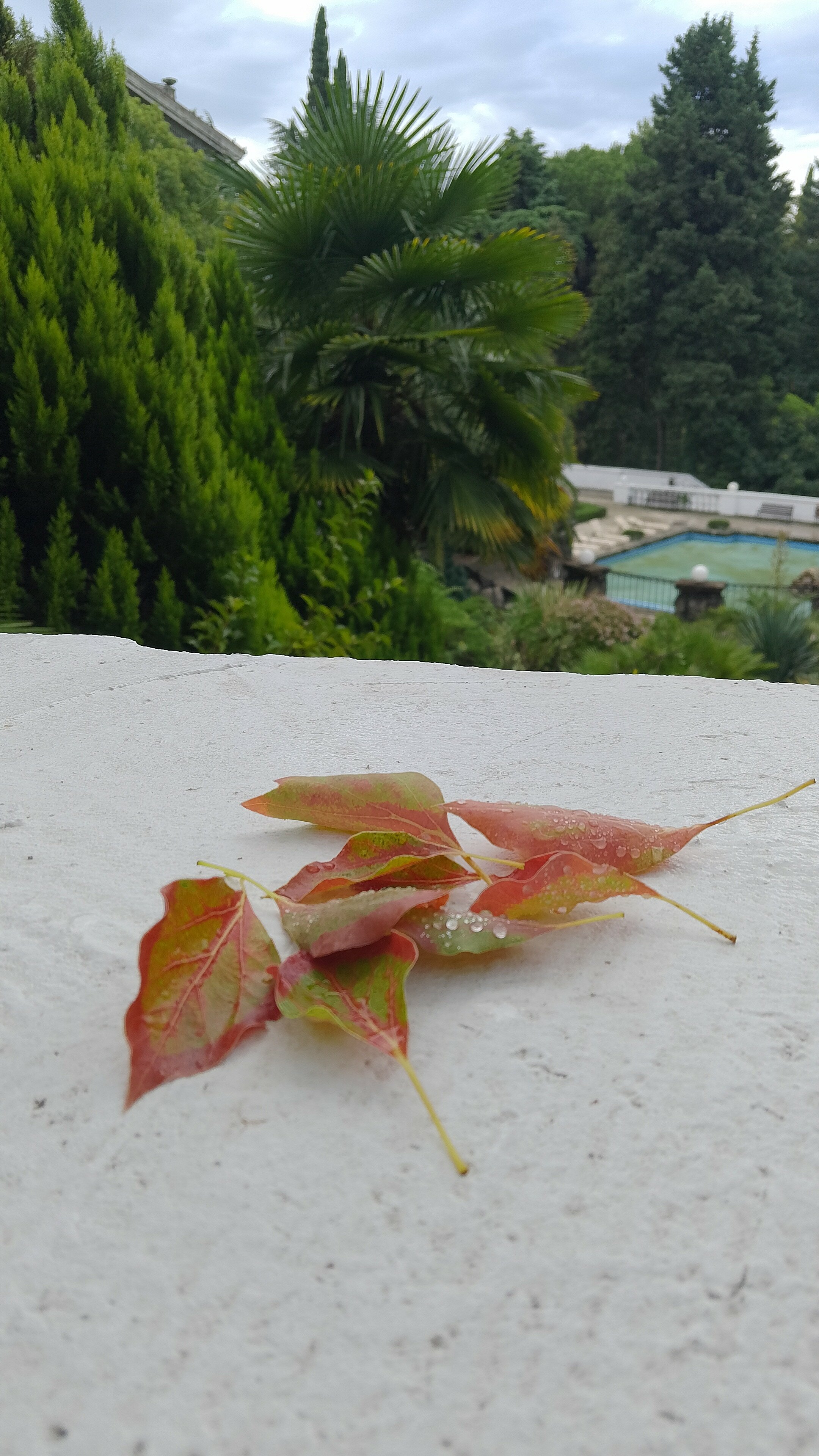 Фото Three Seasons