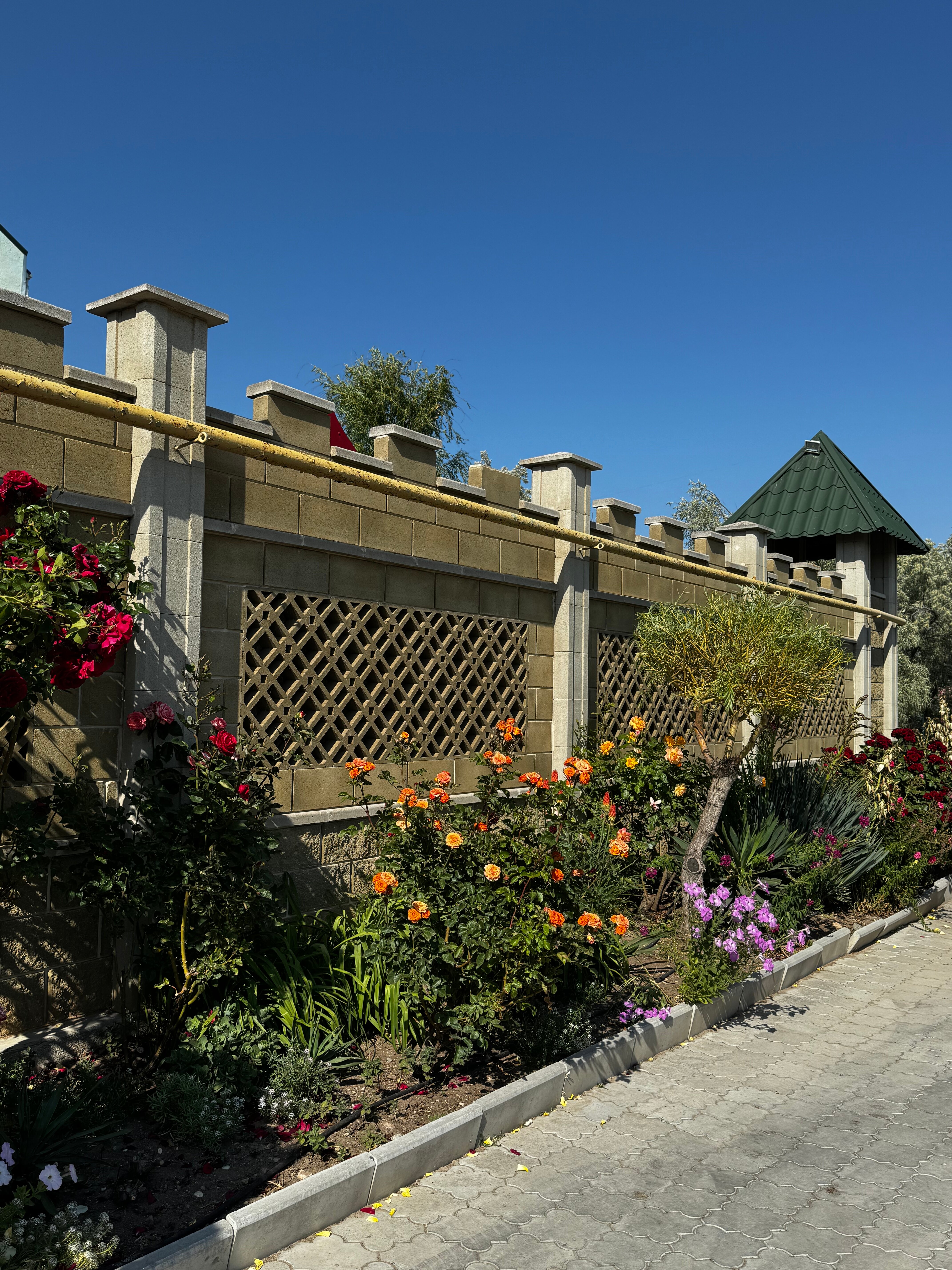 Фото Улыбка