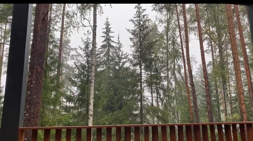 Фото Домик в Лисичках