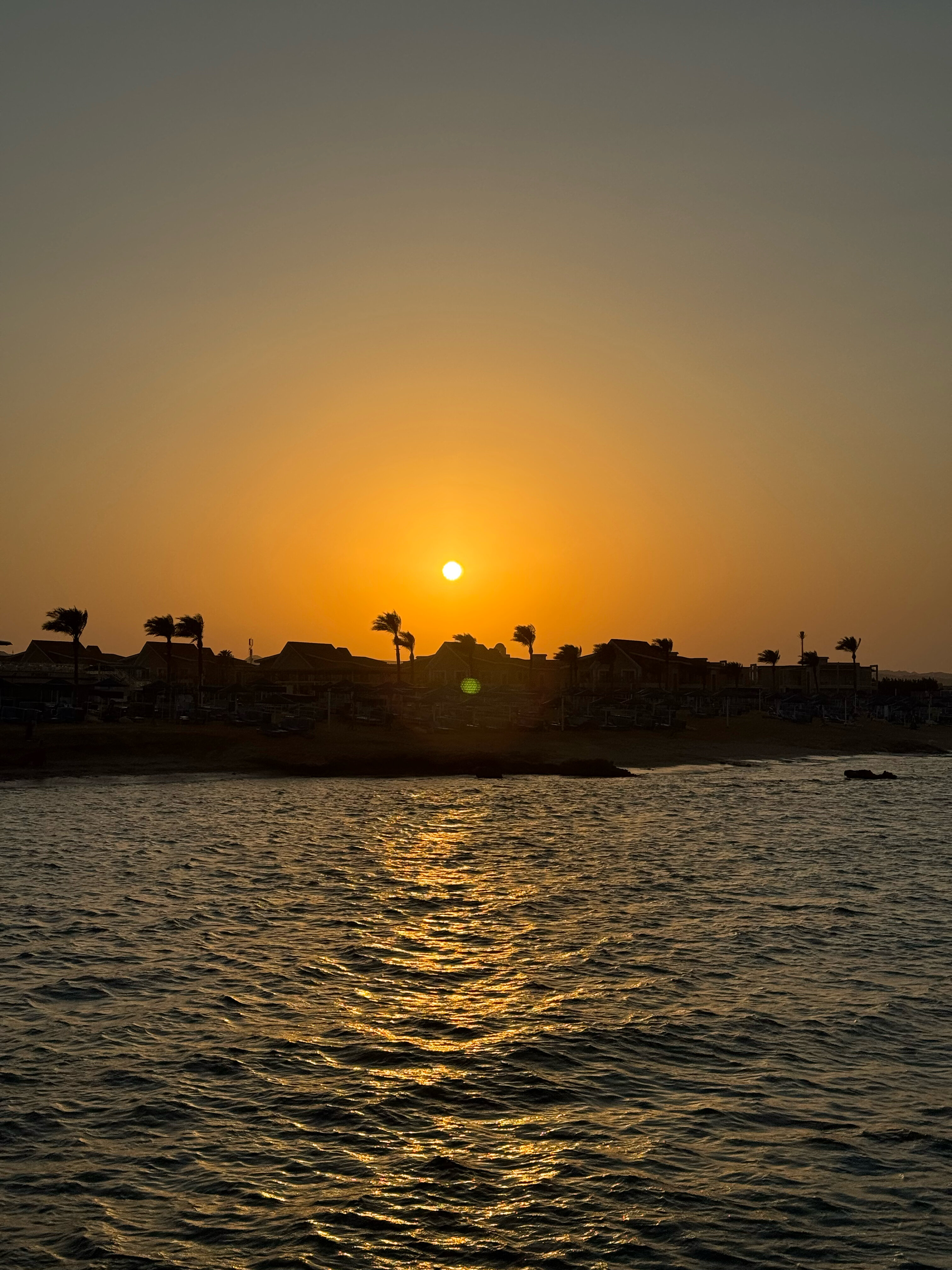 Фото Albatros Sea World Marsa Alam