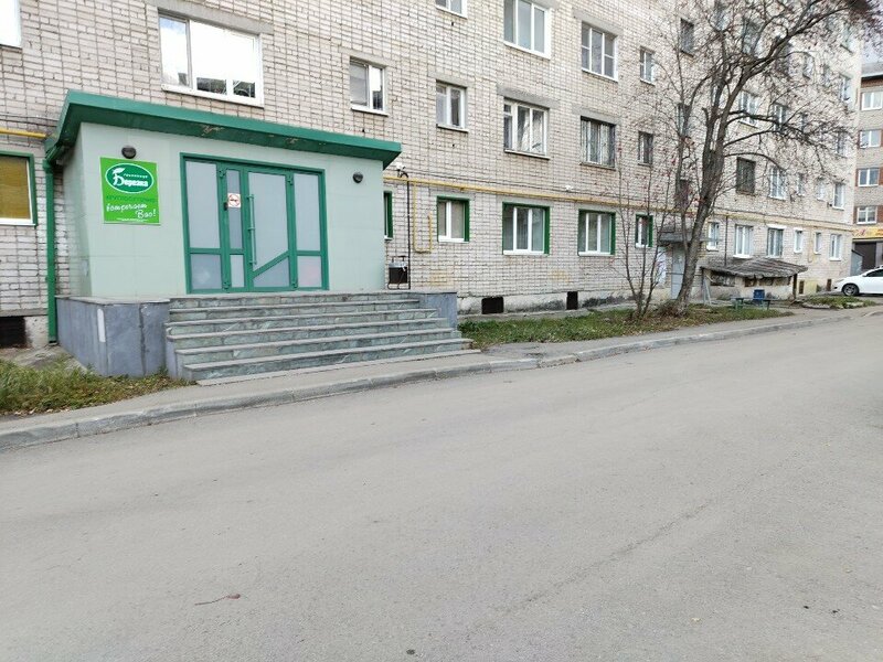 Берёзка — фото 42