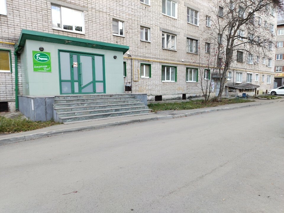 Фото Березка