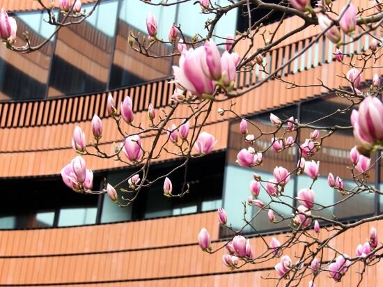 Фото Hualuxe Shanghai Twelve at Hengshan