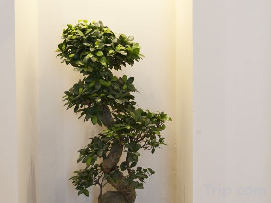 Фото Town House 62