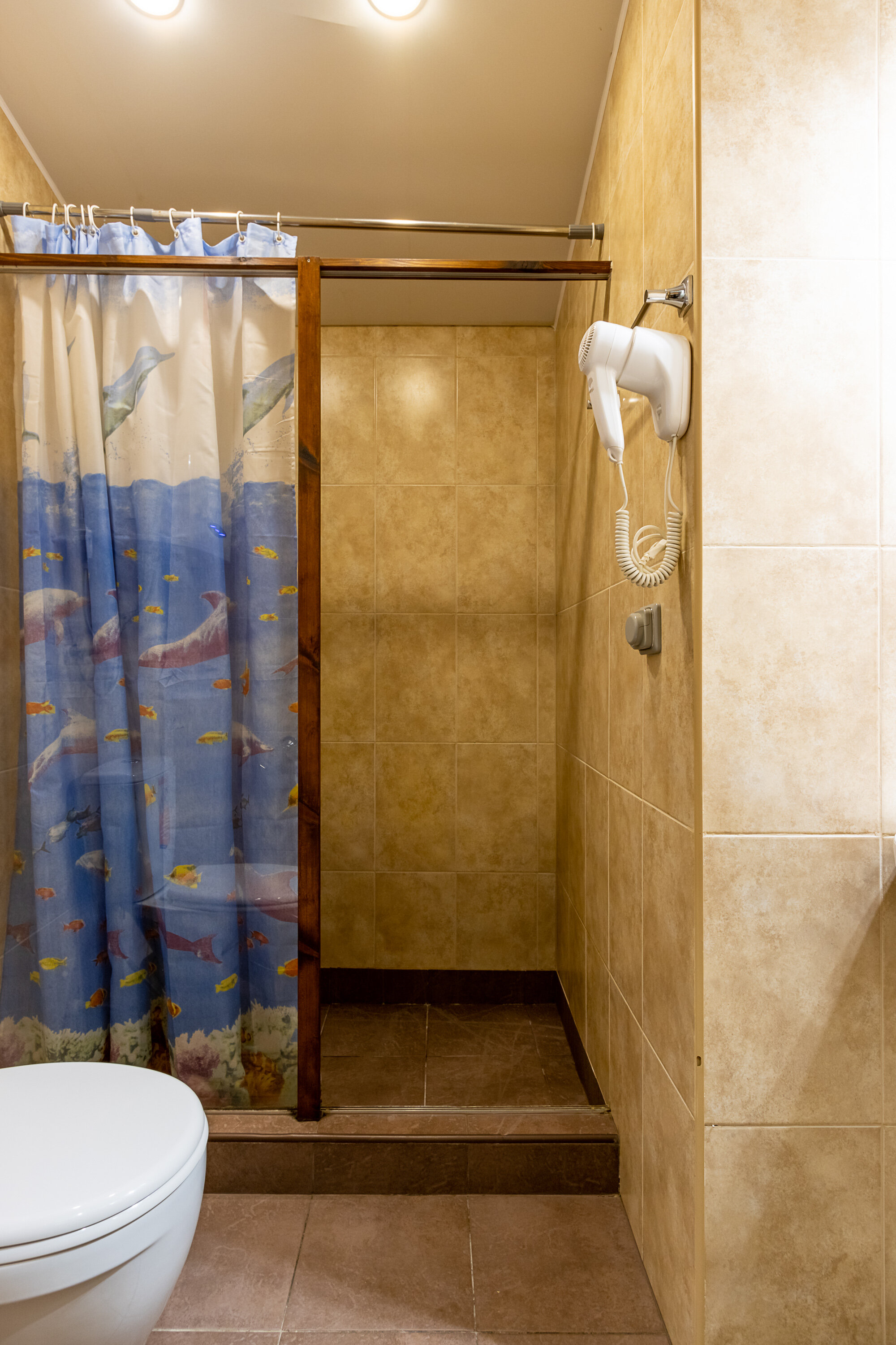 Фото Номера в Петергофе