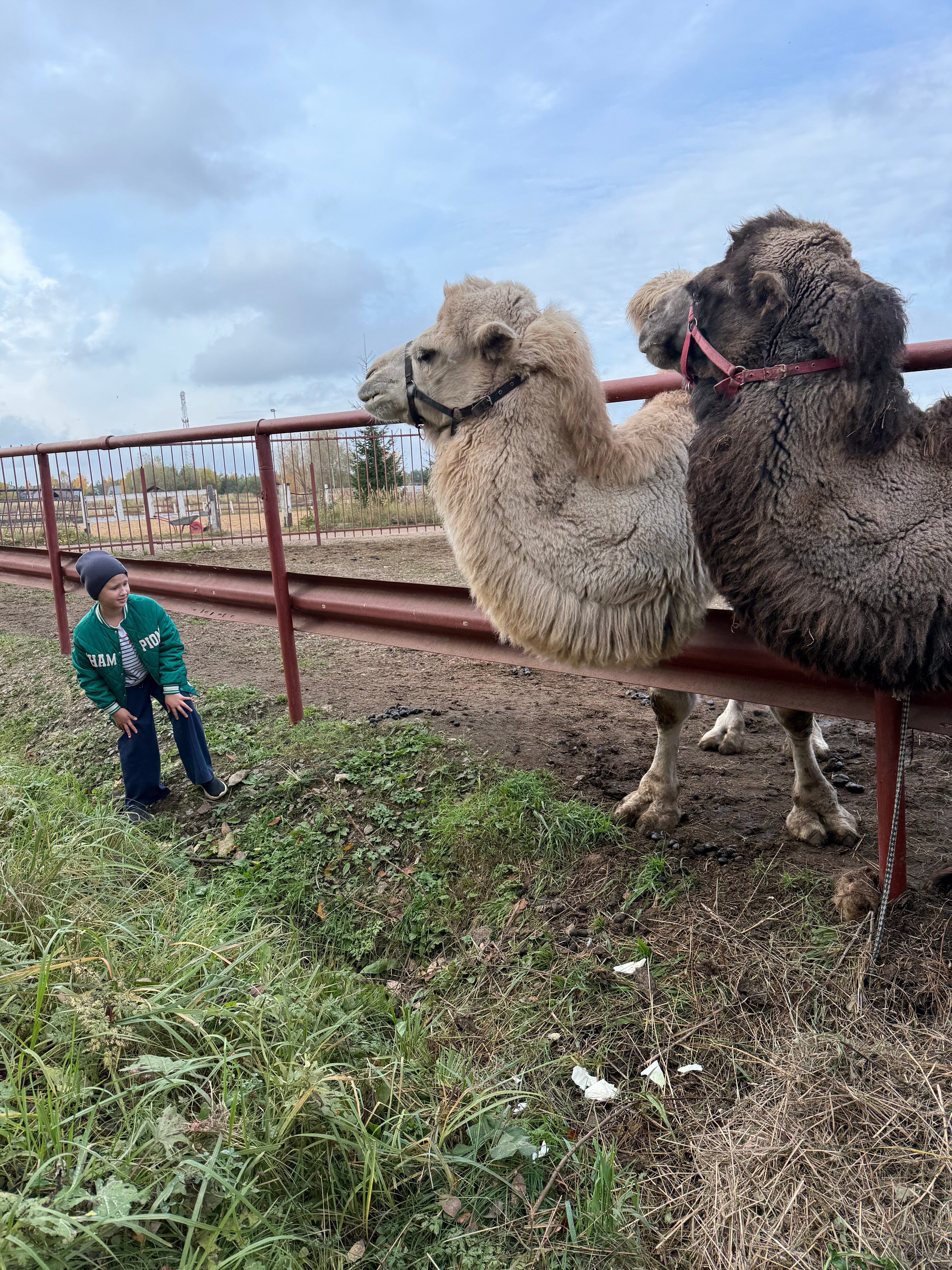 Фото Дом с характером