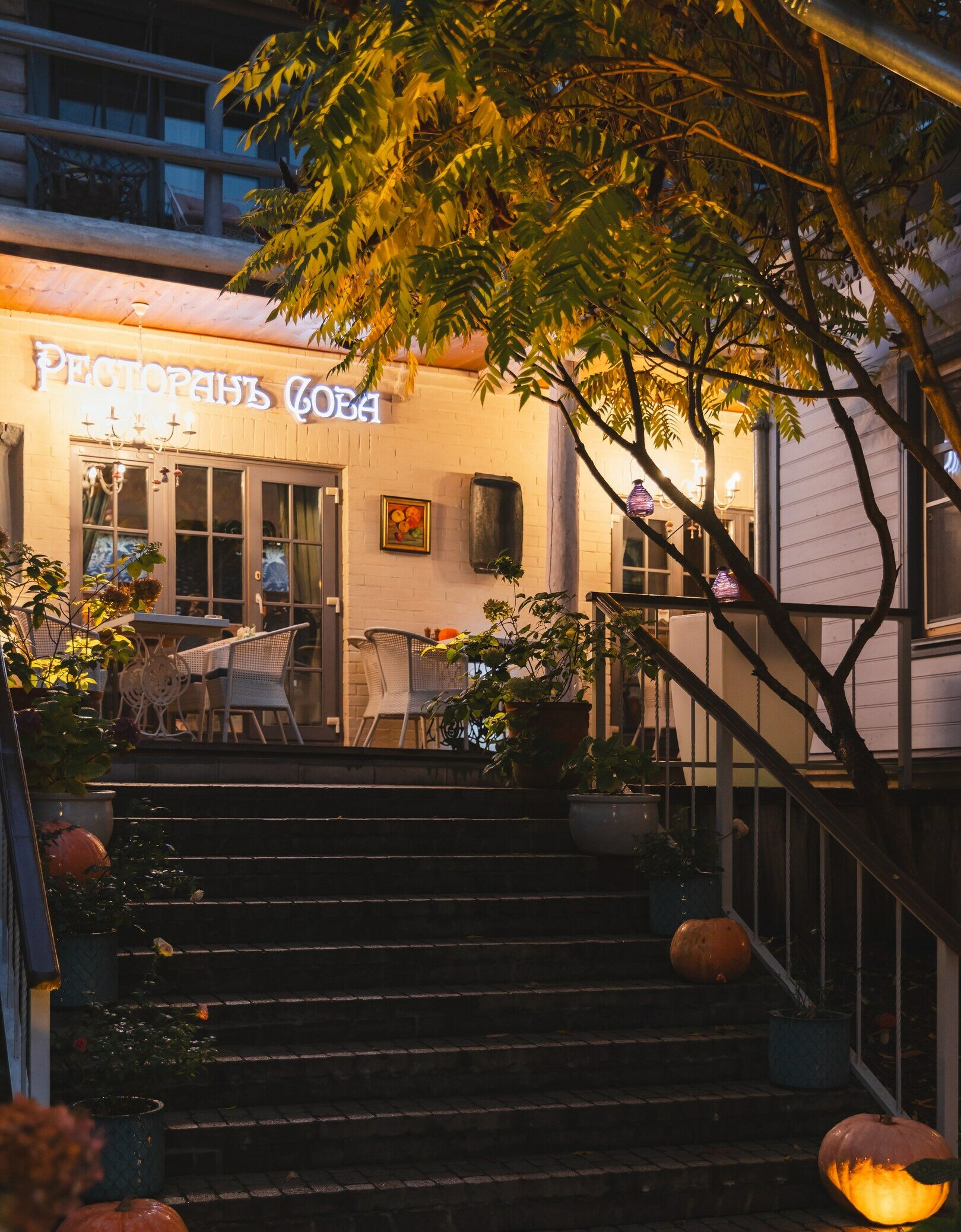 Фото Грандъ Сова