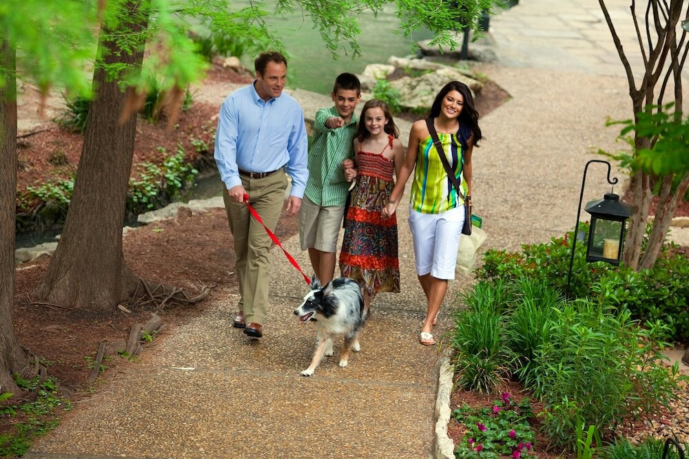 Фото Hotel Contessa