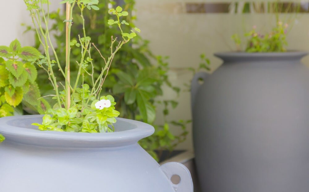 Фото Athens Choice