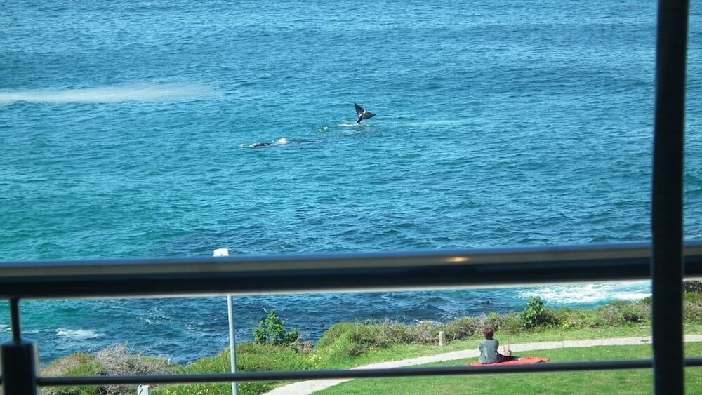 Фото Misty Waves Boutique Hotel