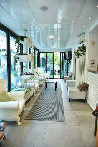 Внешний вид отеля Hotel Okinawa в Римини, фото 2