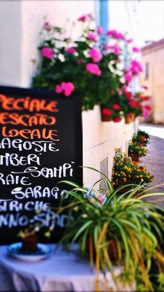 Фото Su Barchile