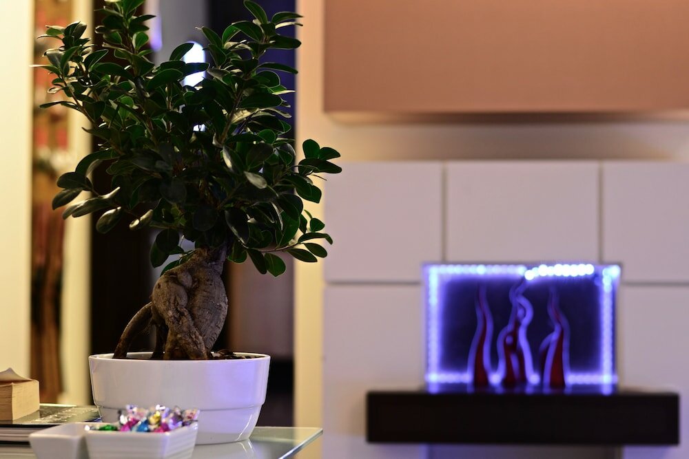 Фото Hotel Cimarosa