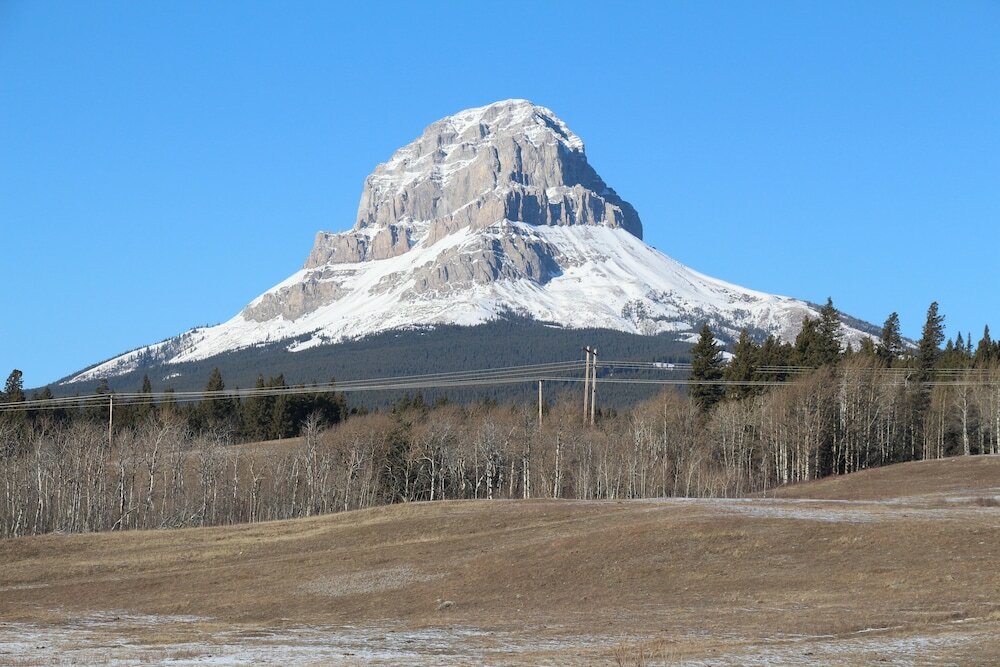 Фото BCMInns Coleman