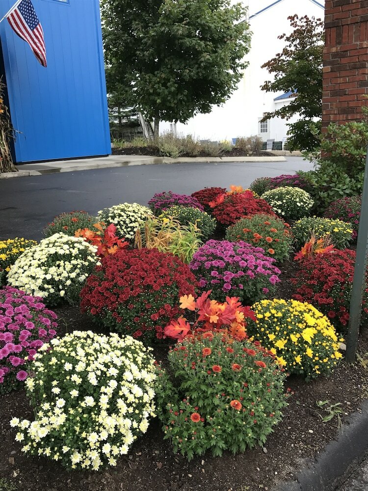 Фото Comfort Inn Ellsworth - Bar Harbor