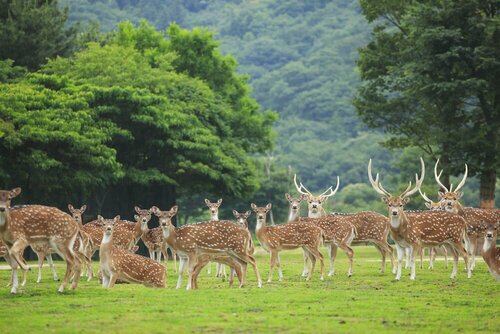 Внешний вид отеля Hotel Monterey Himeji в Химедзях, фото 4