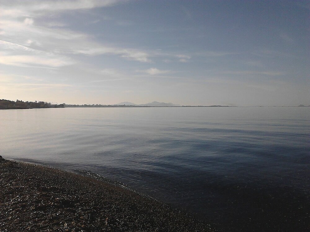 Фото Andromeda Hotel Apartments