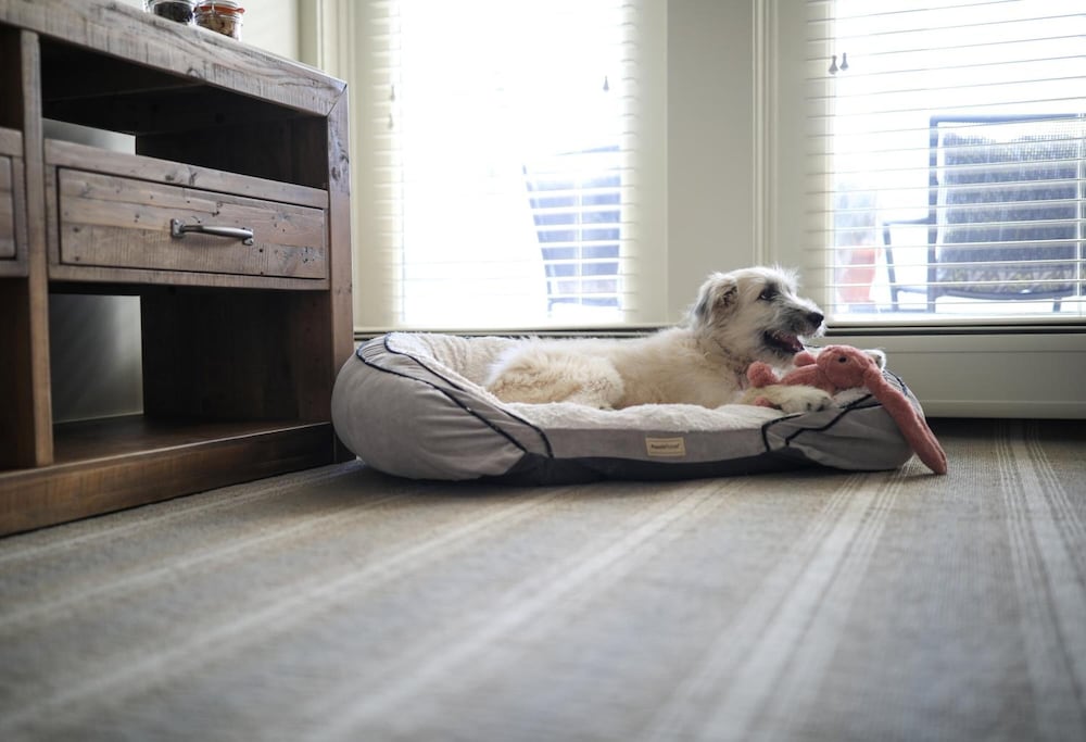 Фото Mill Street Inn