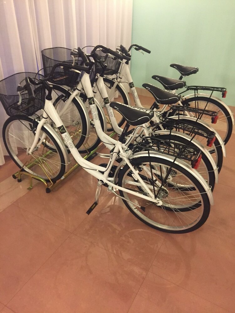 Фото Hotel Verdi